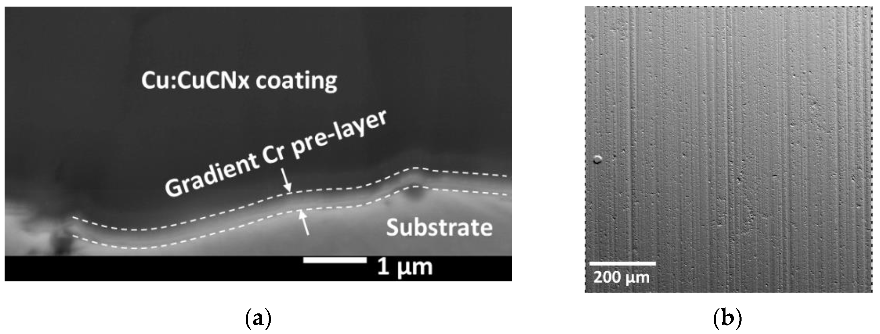 Coatings 12 01484 g006
