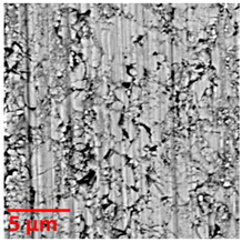 Coatings 12 01484 i007