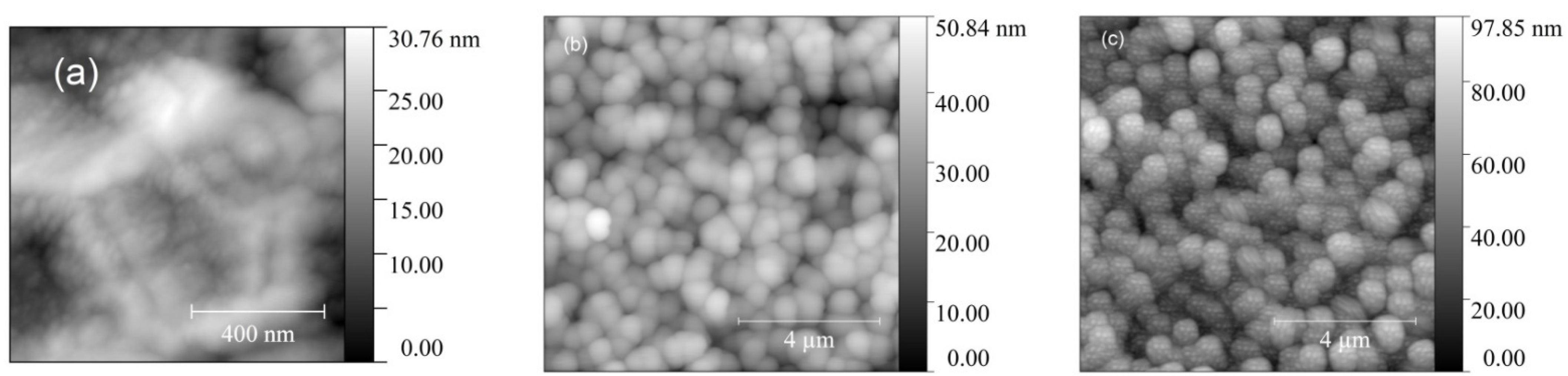 Coatings 12 01565 g001