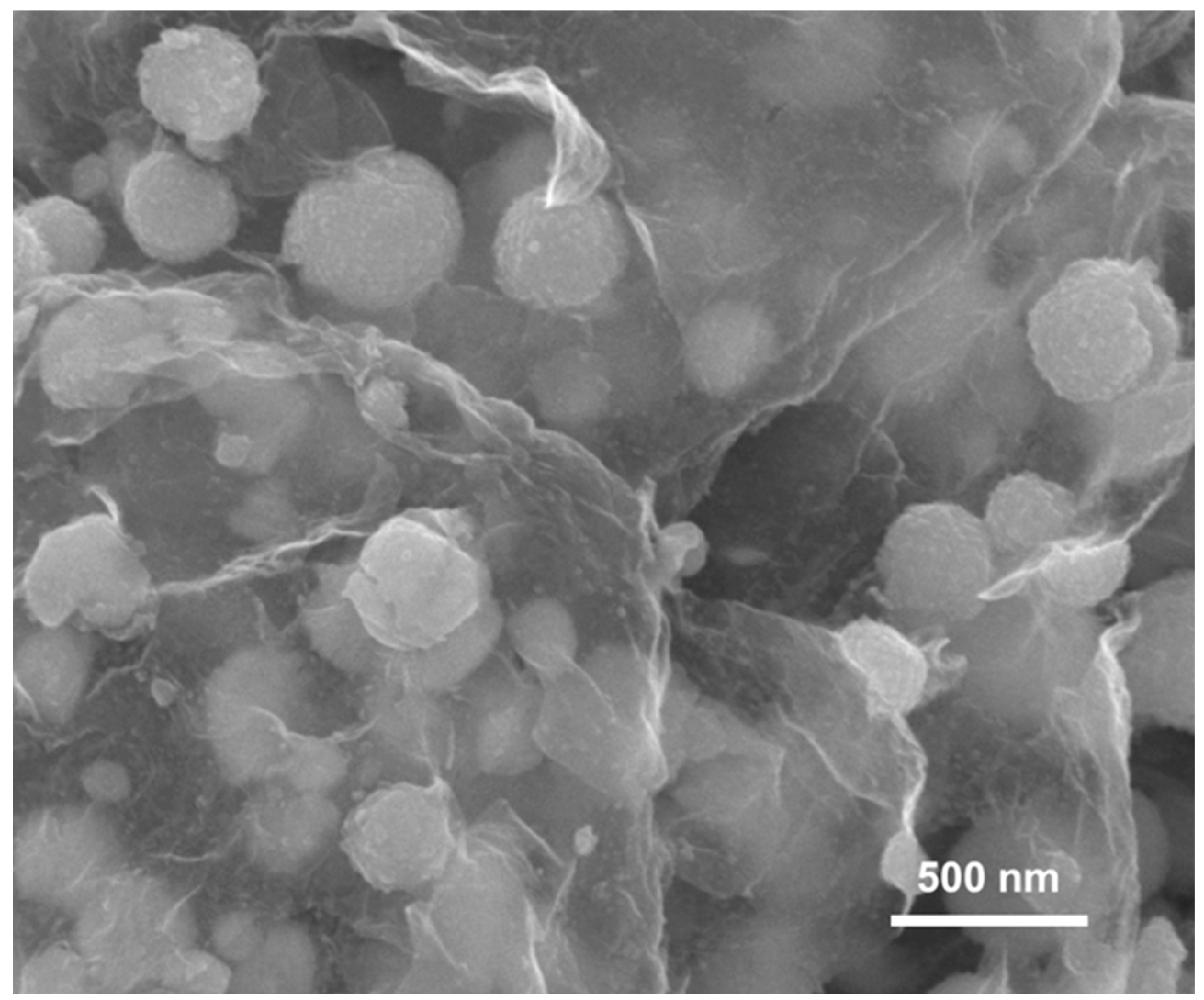 Coatings 12 01799 g0a3