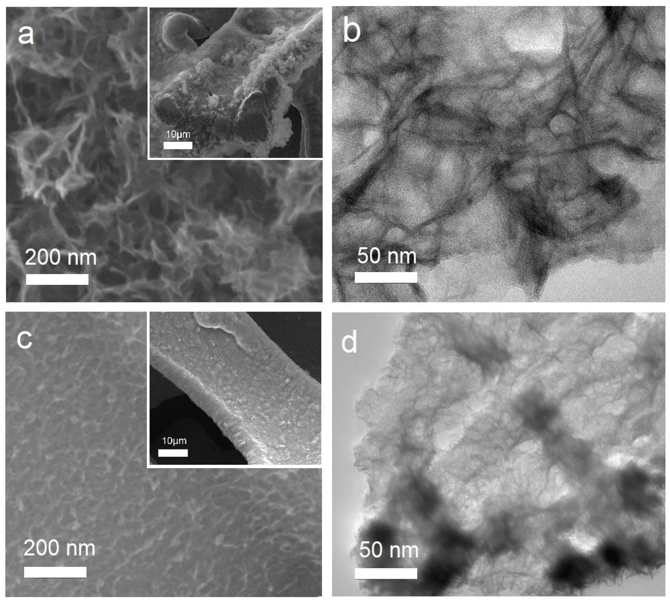 Coatings 13 00361 g002