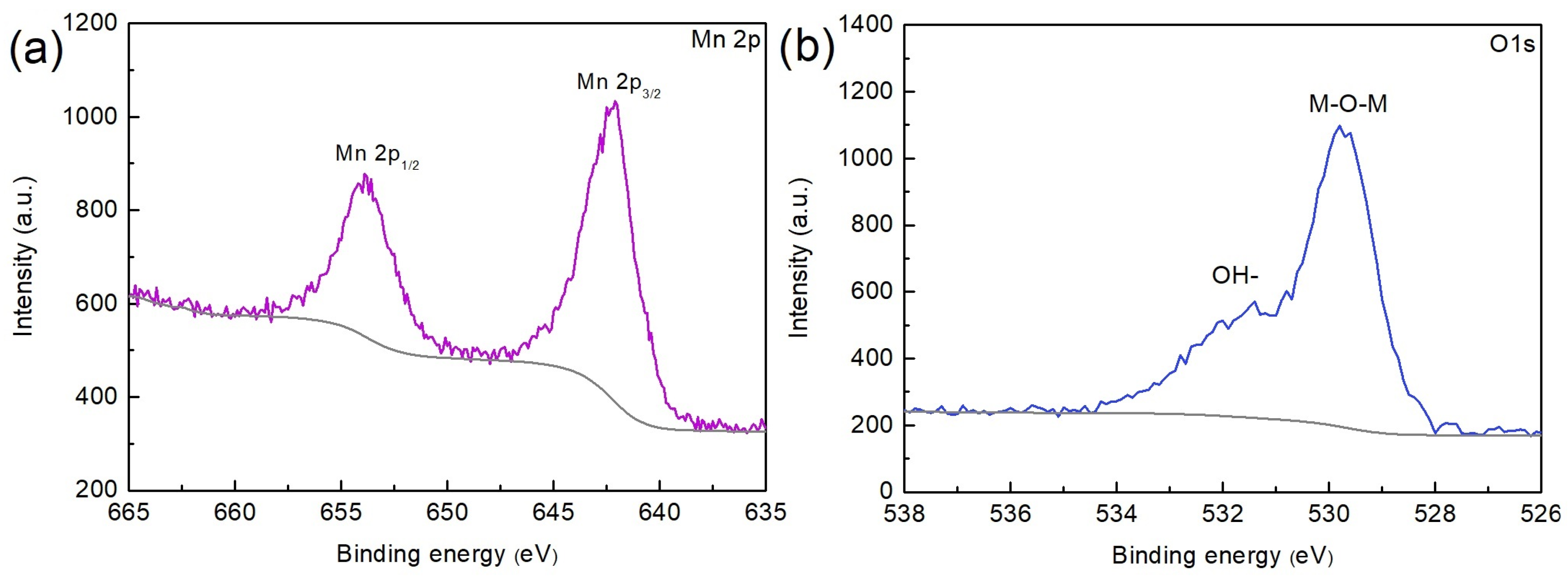 Coatings 13 00361 g004