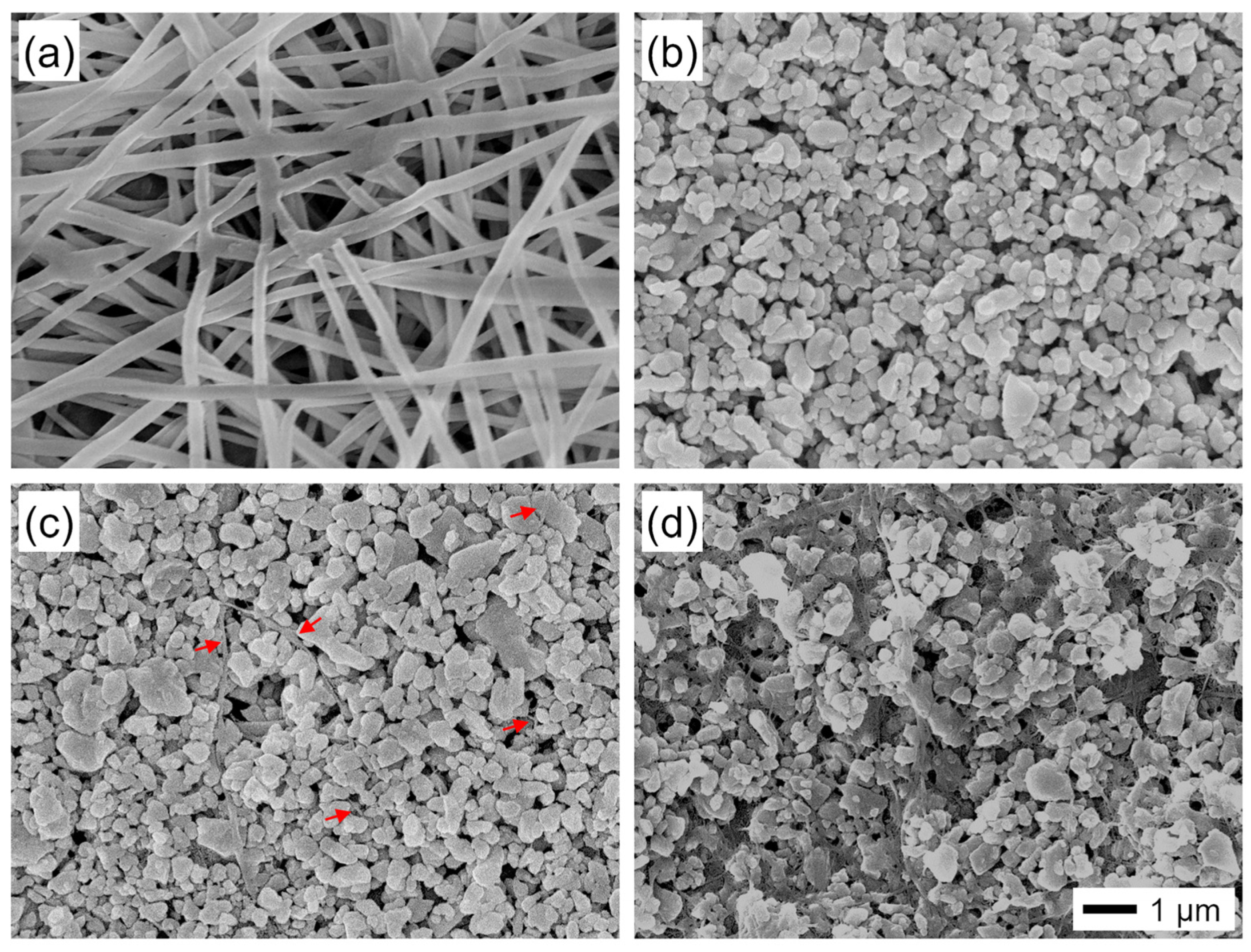 Coatings 13 00916 g001