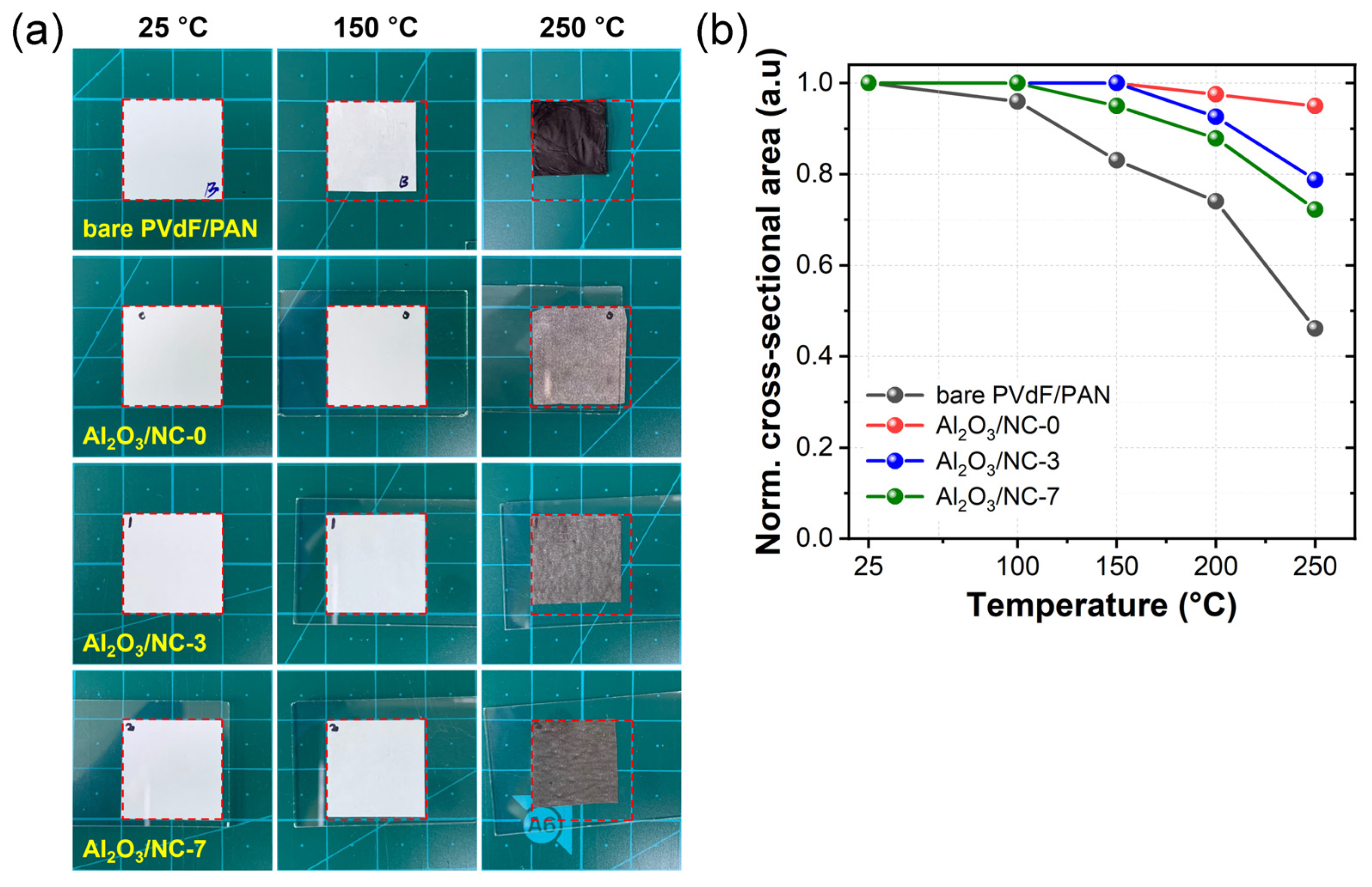 Coatings 13 00916 g003