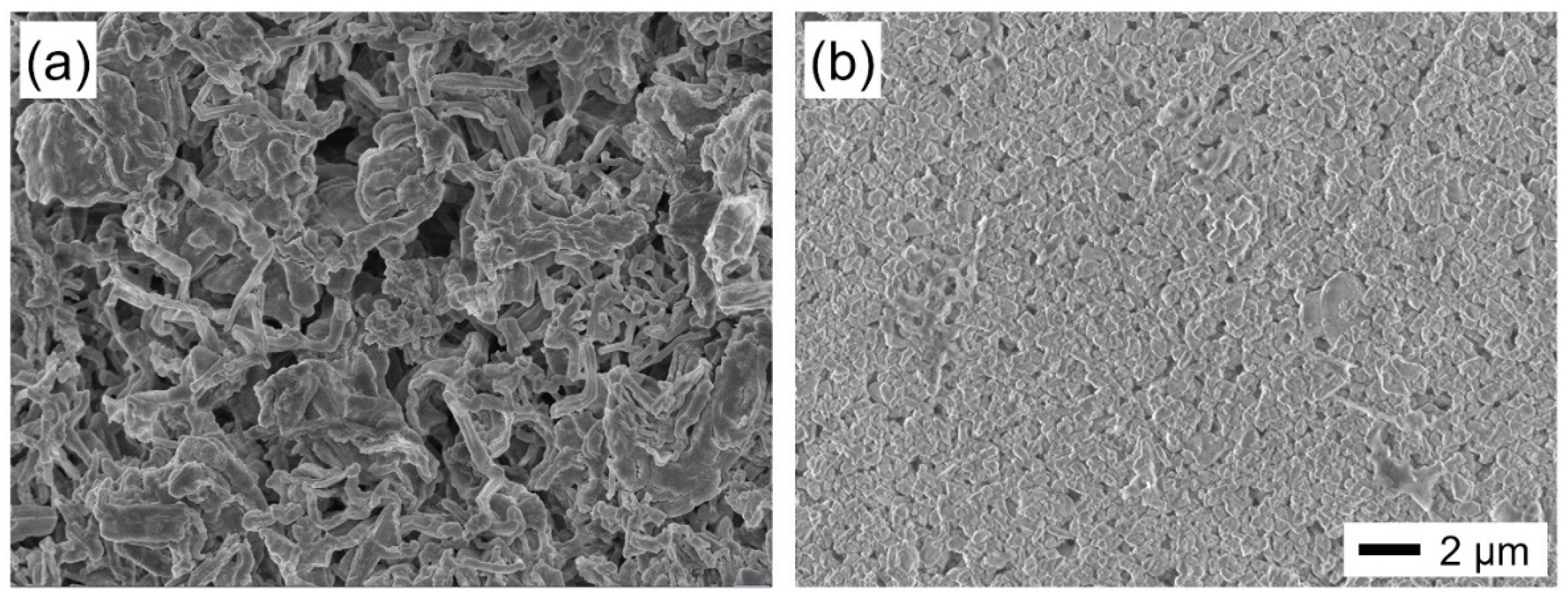 Coatings 13 00916 g005