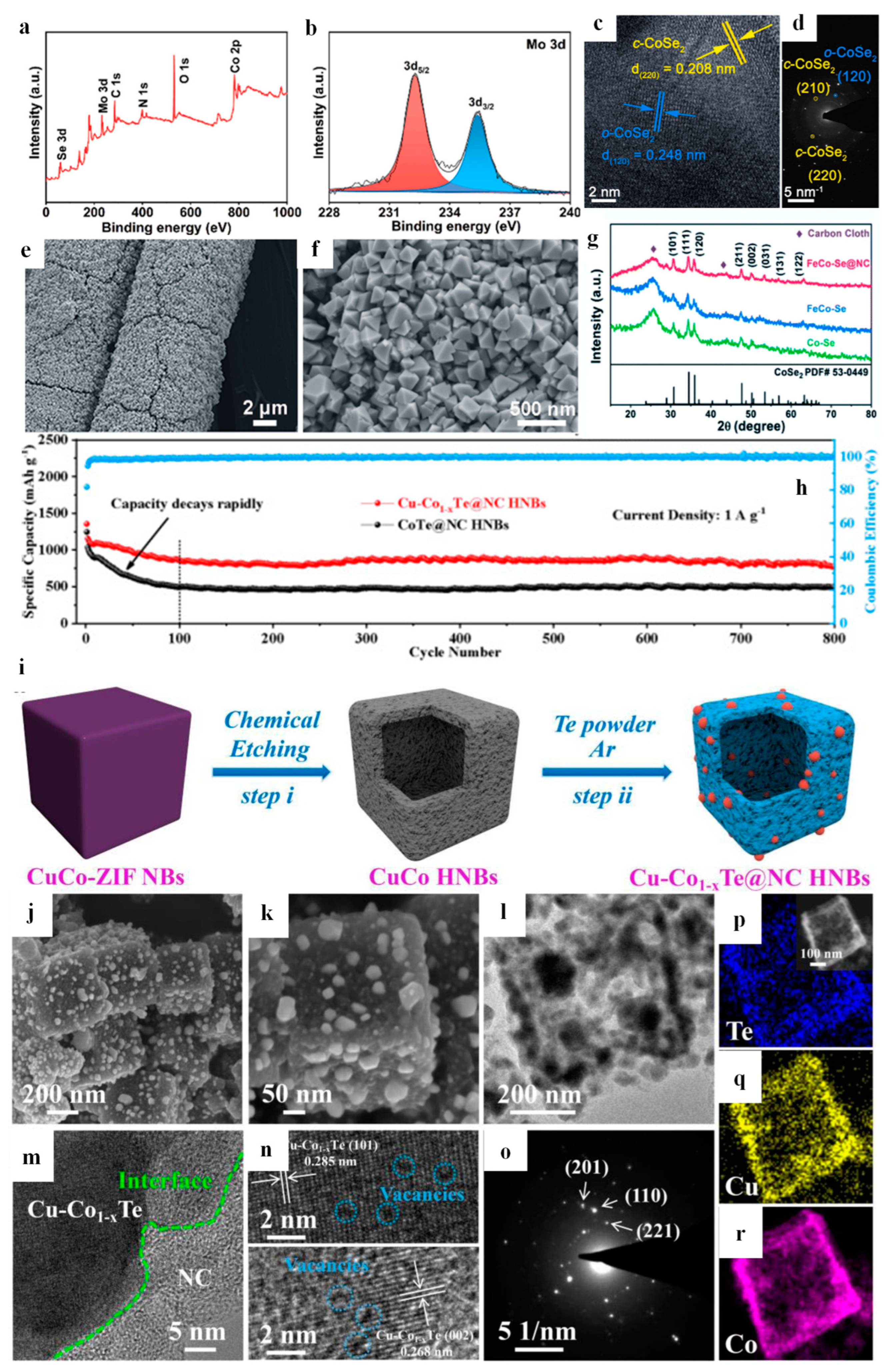 Coatings 13 01588 g005