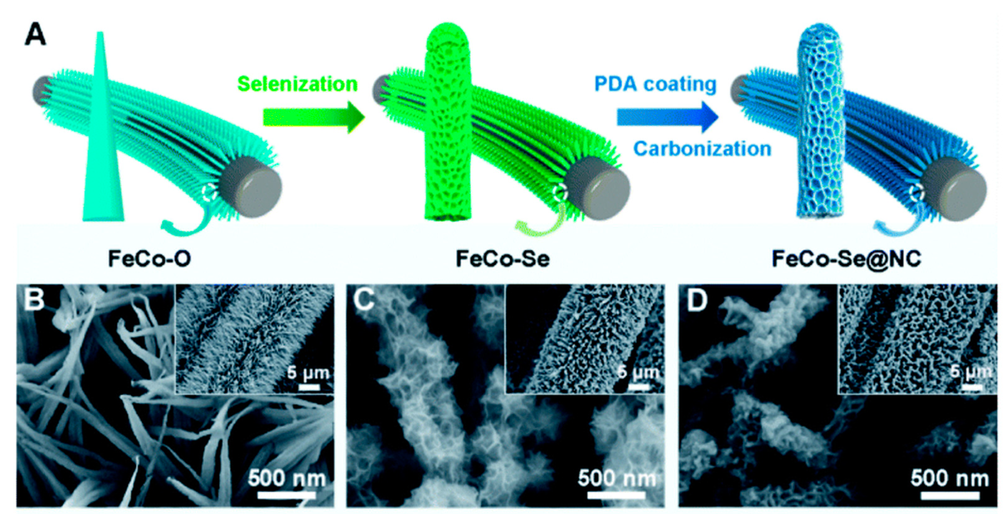 Coatings 13 01588 g008