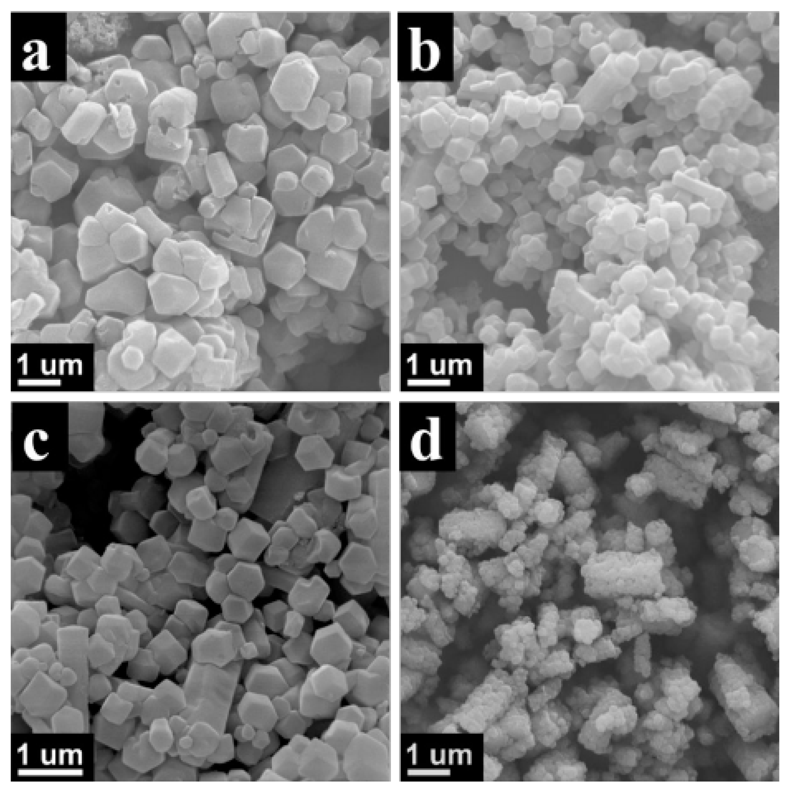 Coatings 13 01588 g010