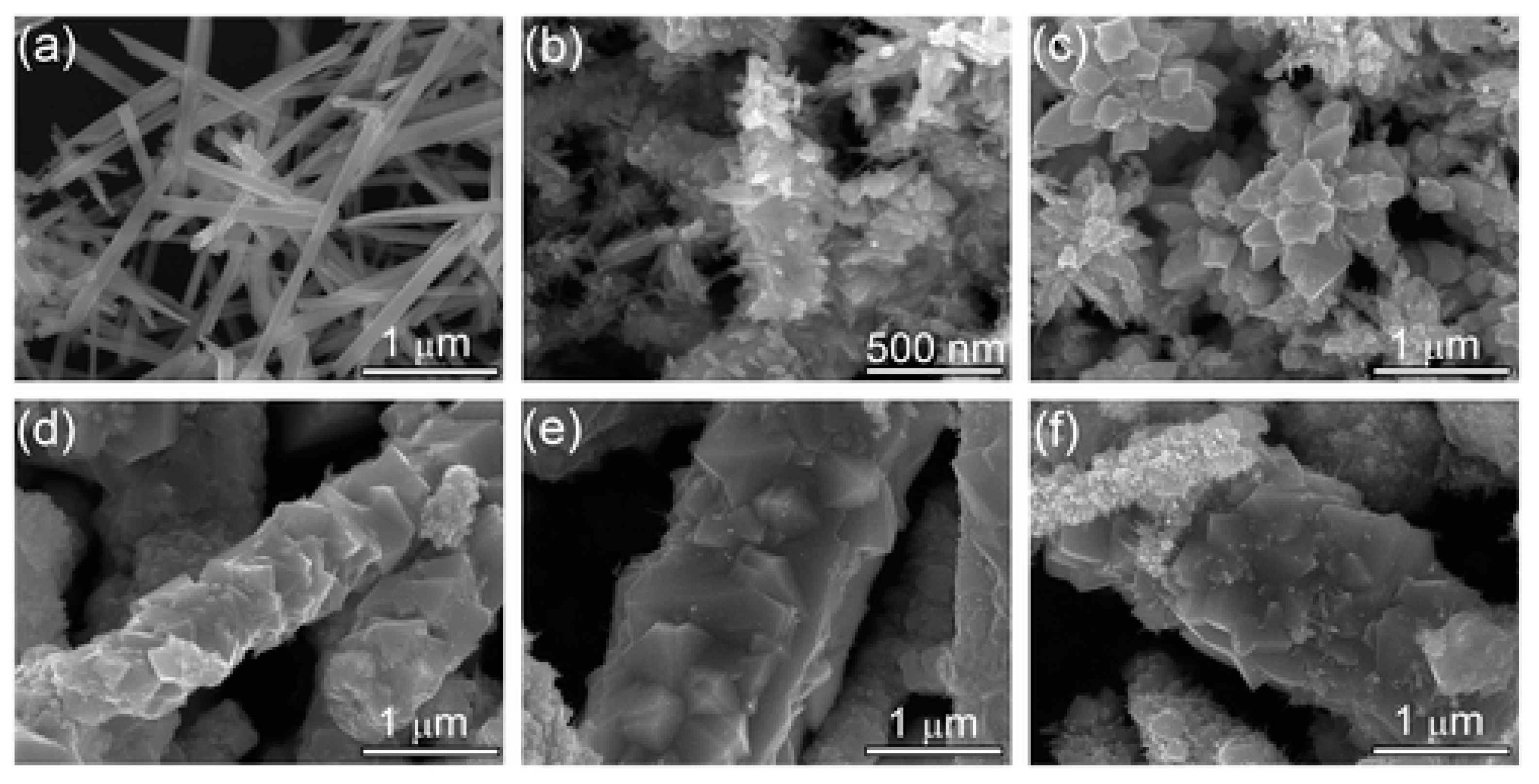 Coatings 13 01588 g012