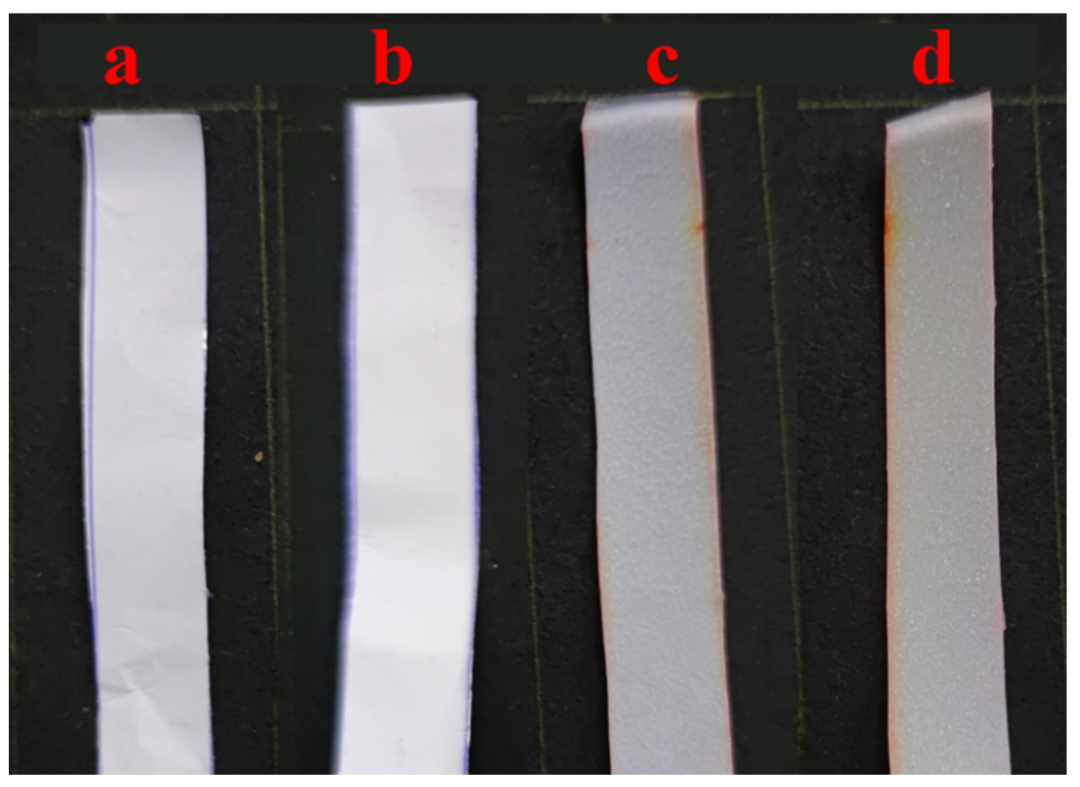 Coatings 13 01665 g002