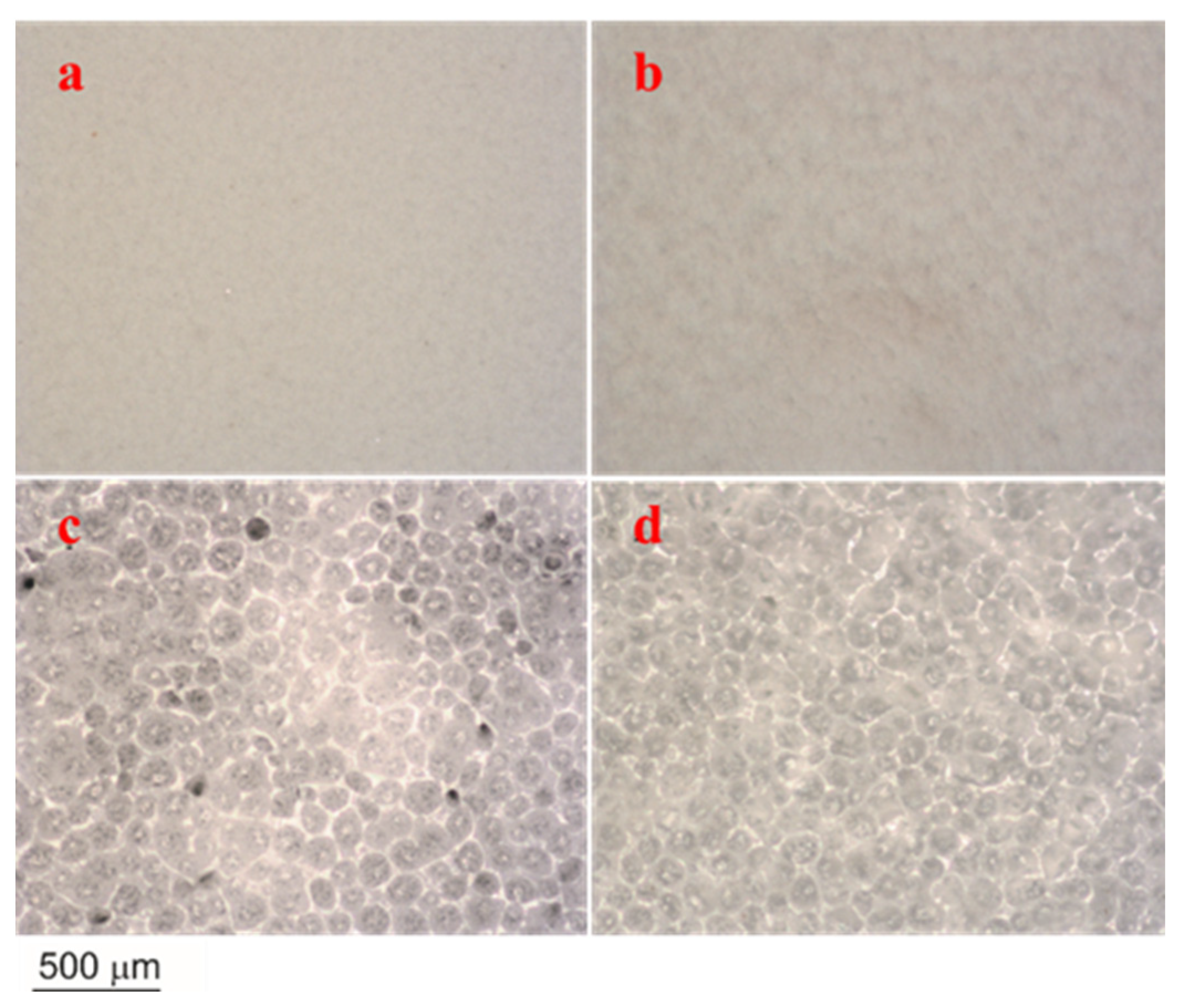Coatings 13 01665 g004