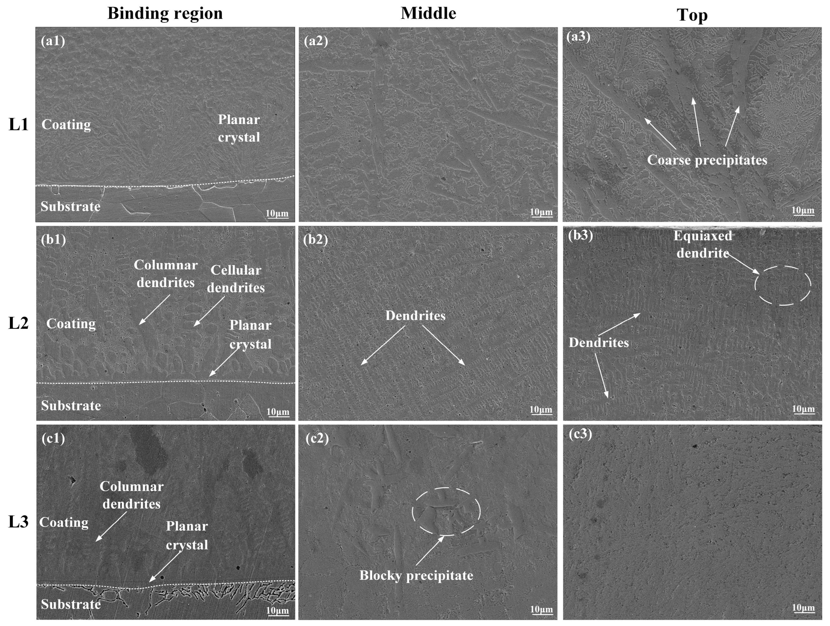 Coatings 13 01947 g002