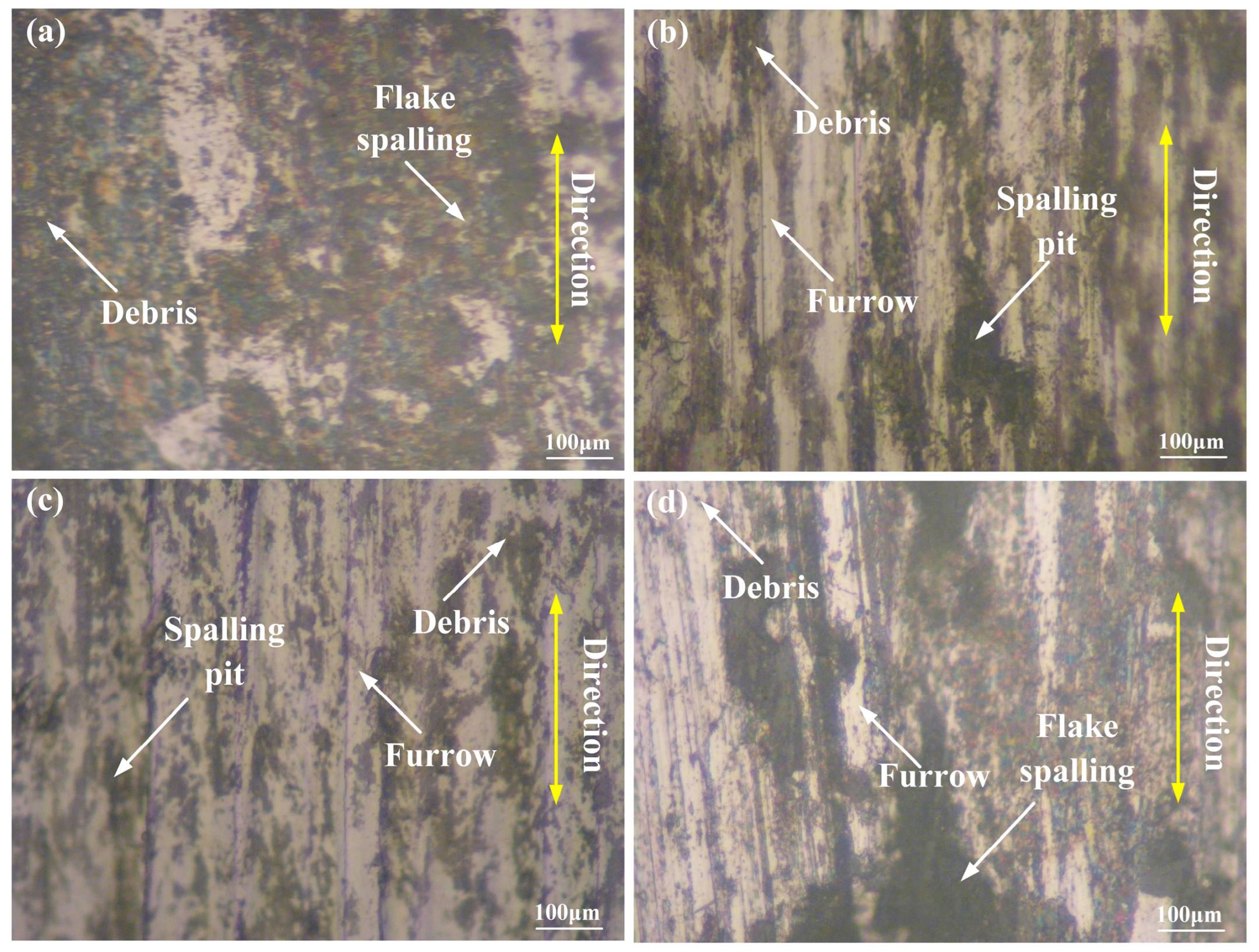 Coatings 13 01947 g011