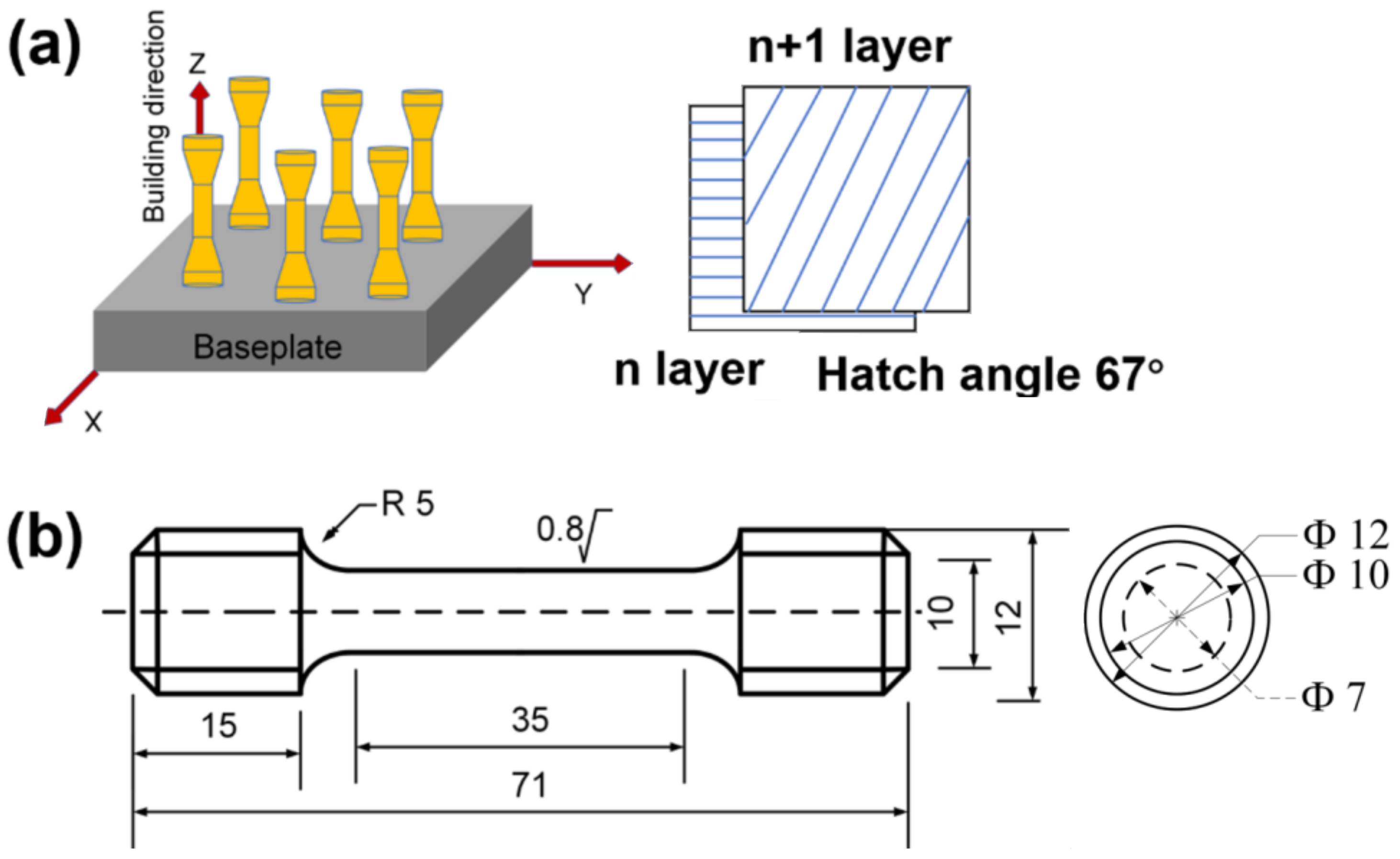 Coatings 13 02087 g002