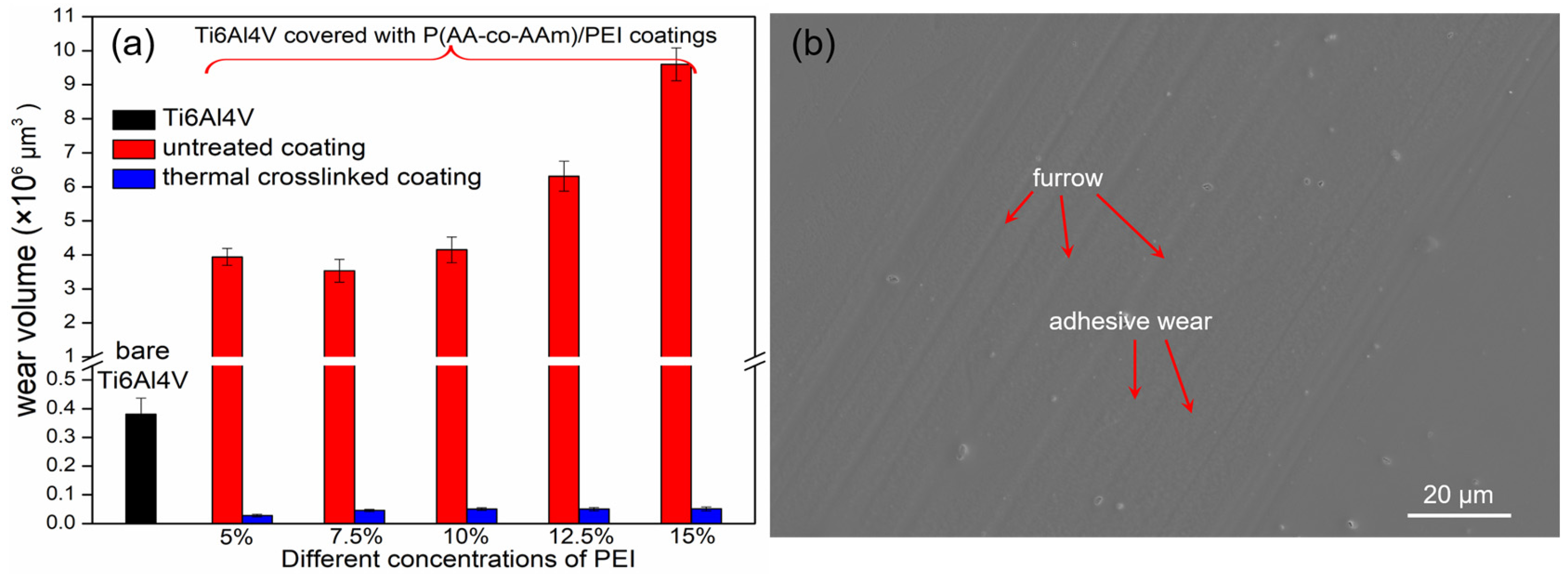 Coatings 14 00028 g012