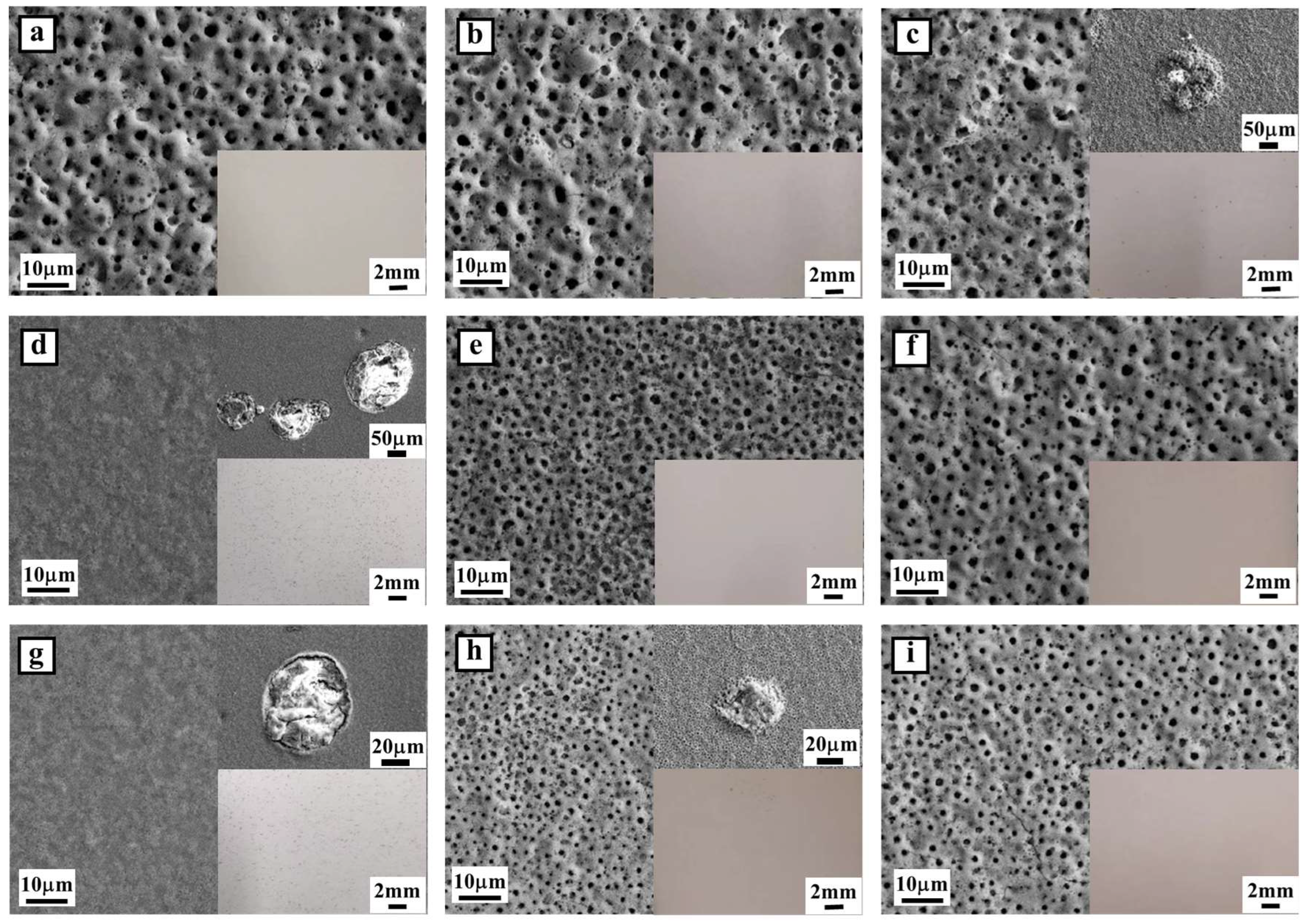 Coatings 14 00140 g002