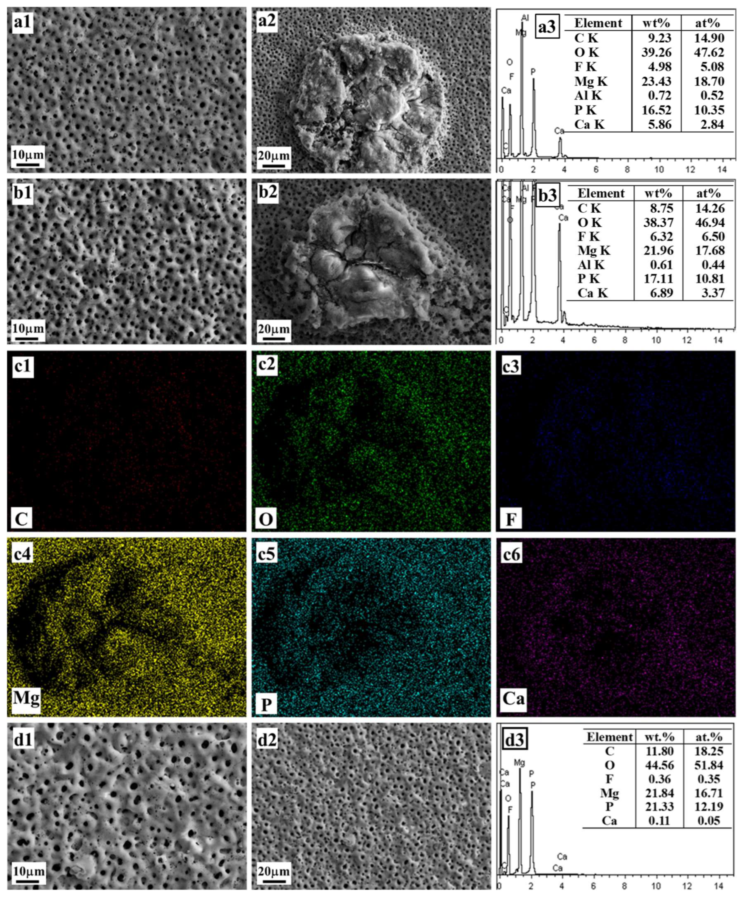 Coatings 14 00140 g008