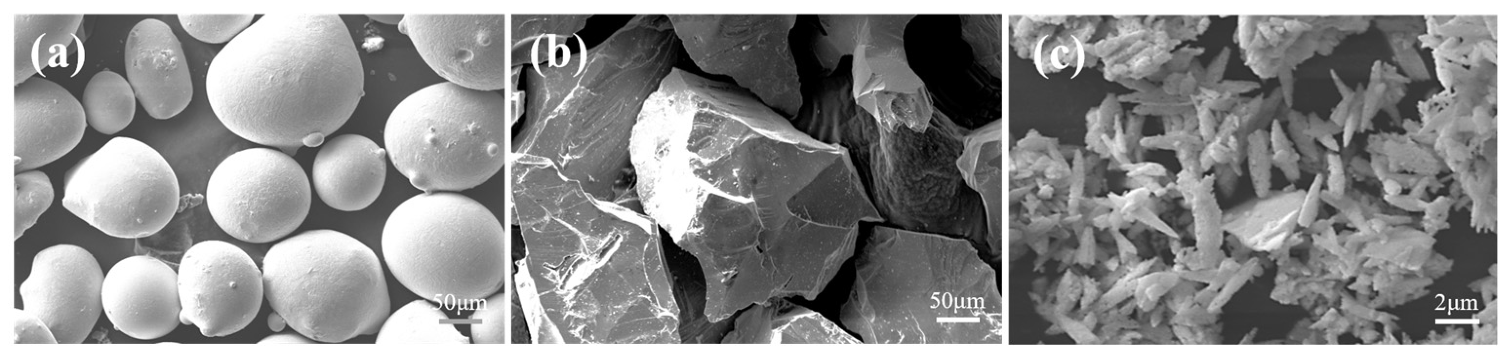 Coatings 14 00550 g001