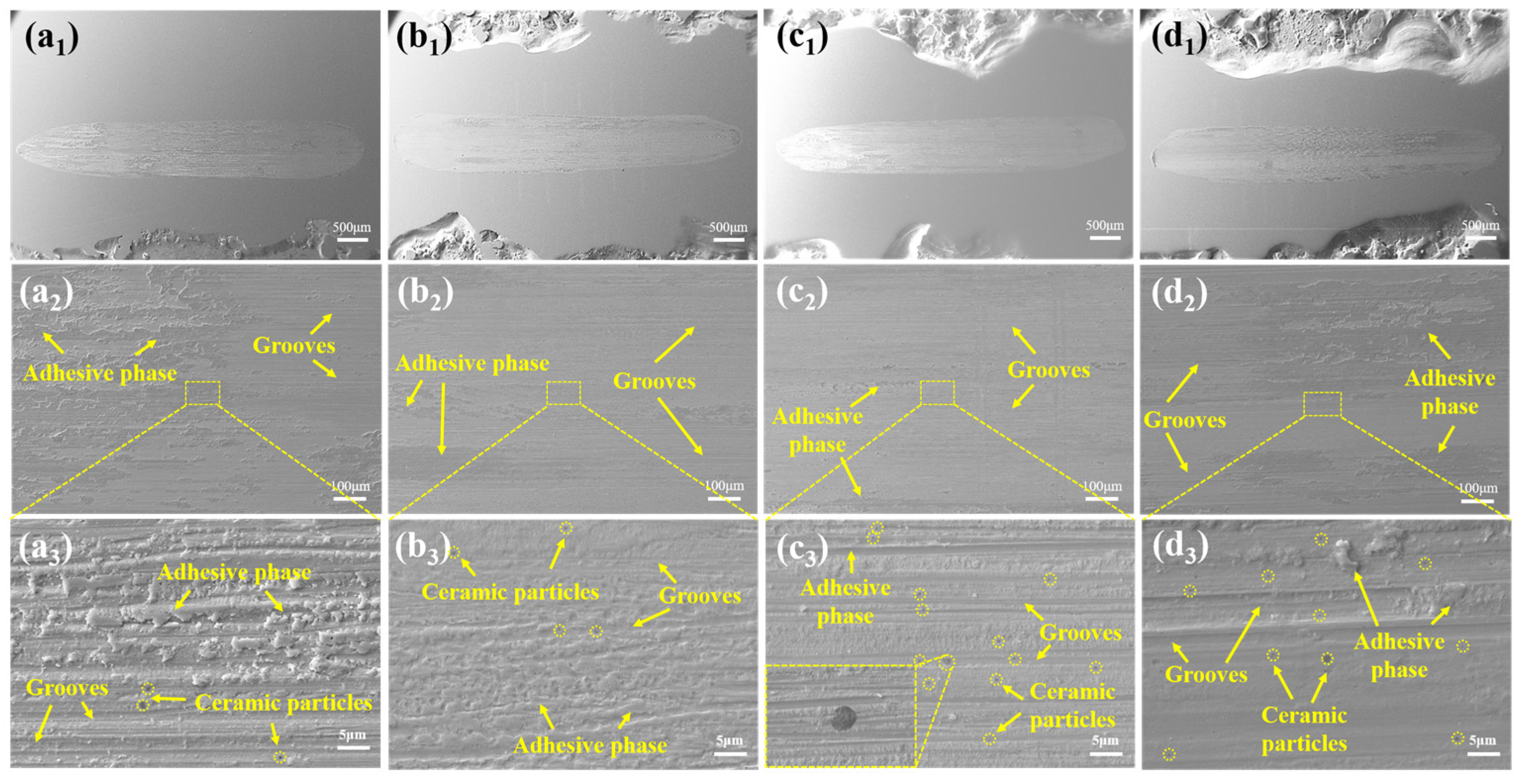Coatings 14 00550 g013