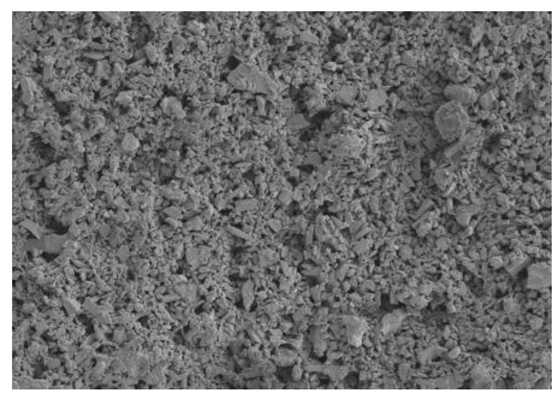 Coatings 14 00559 i003