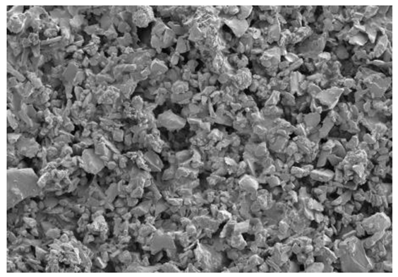 Coatings 14 00559 i004