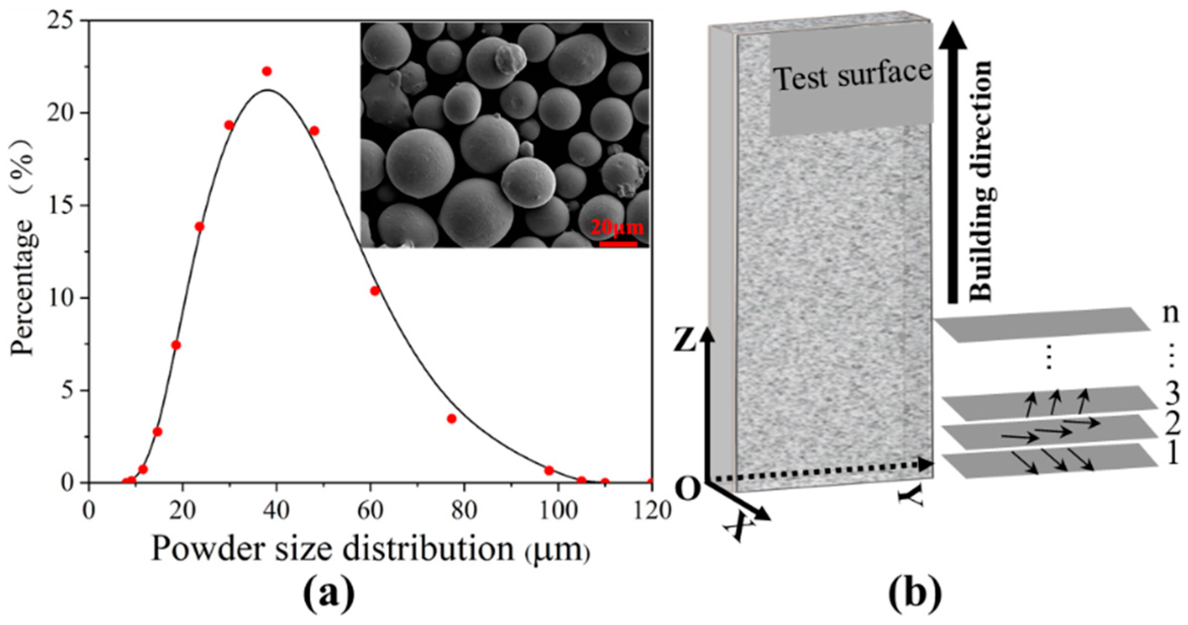 Coatings 14 00589 g001