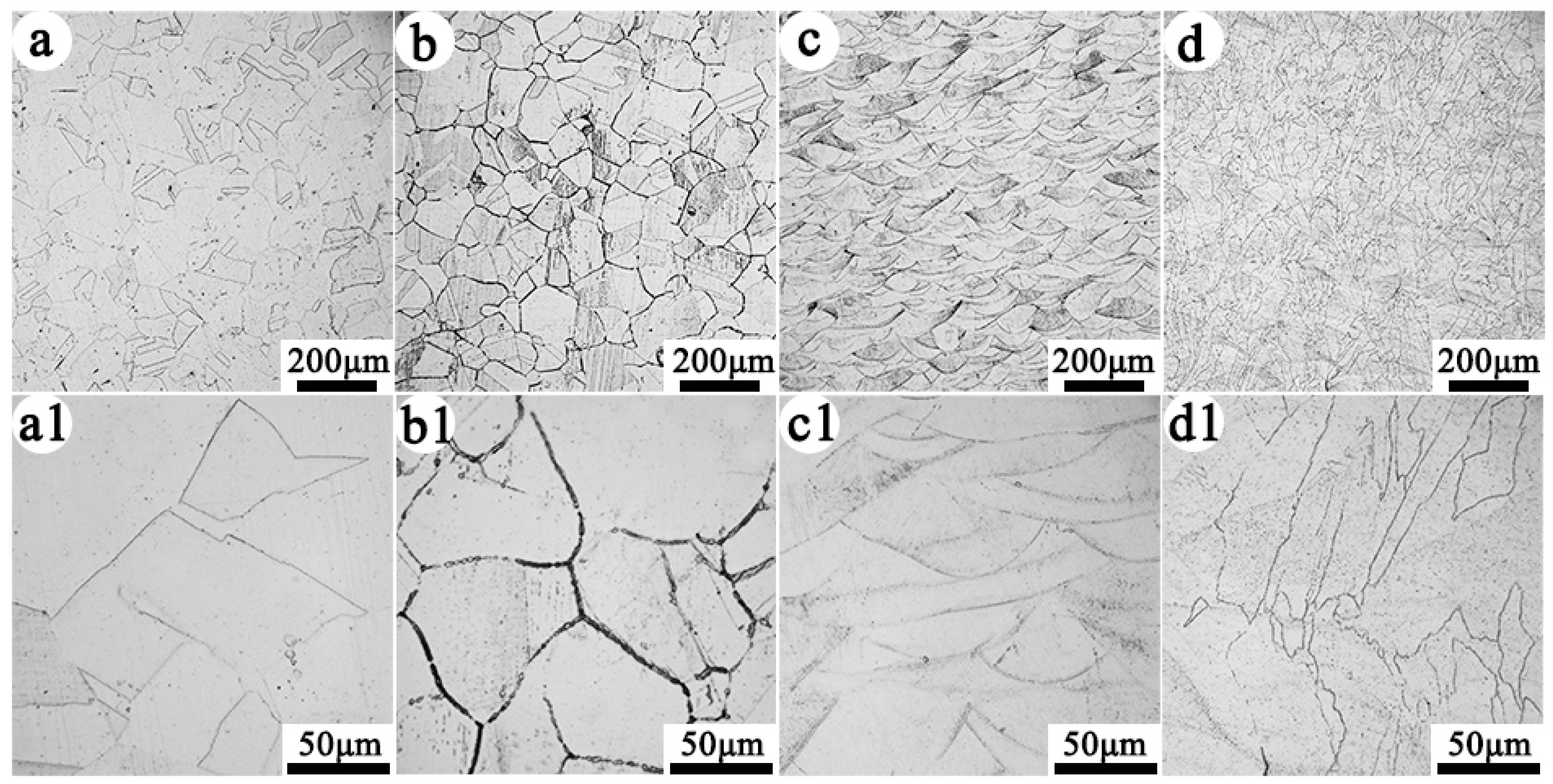 Coatings 14 00589 g006