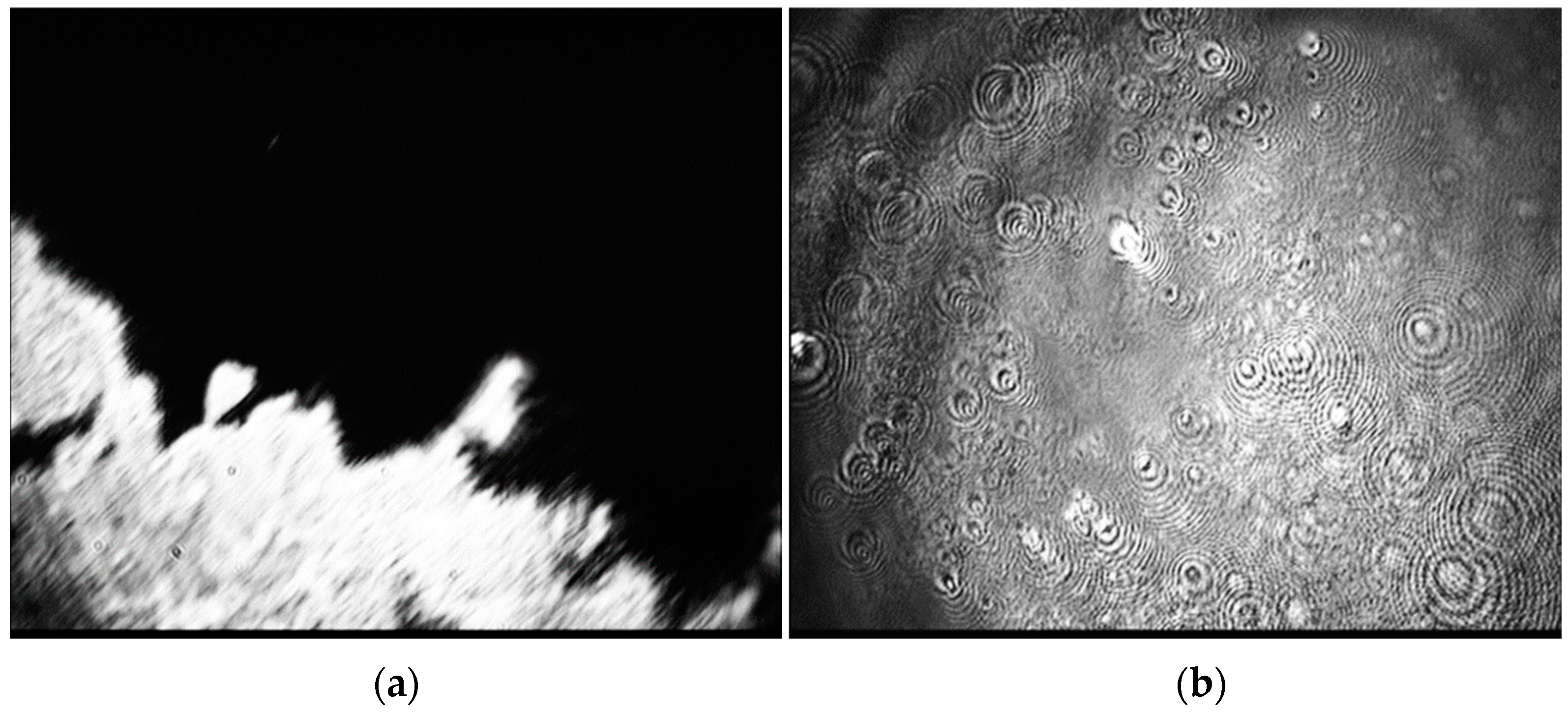 Colloids 06 00028 g002