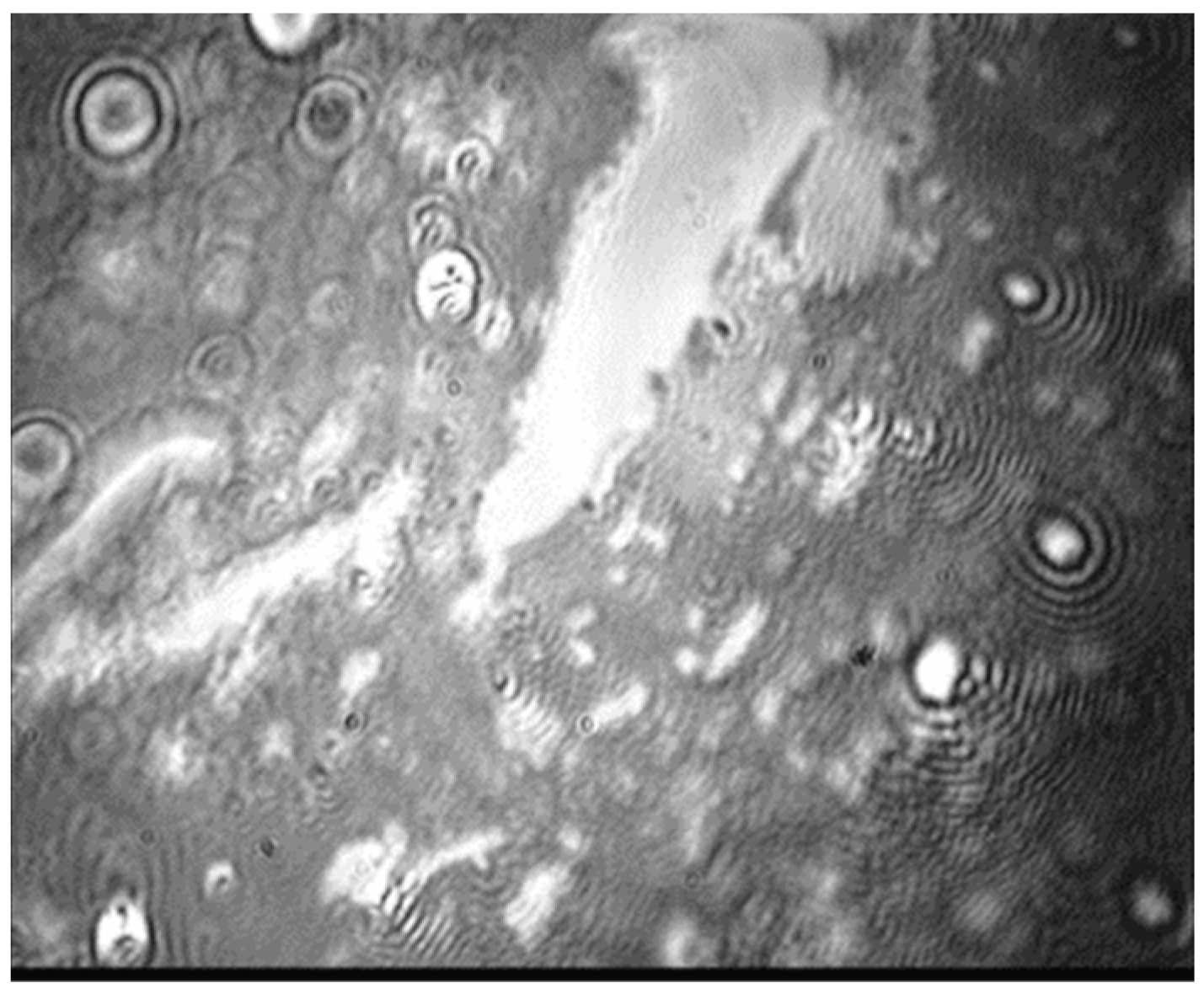 Colloids 06 00028 g007