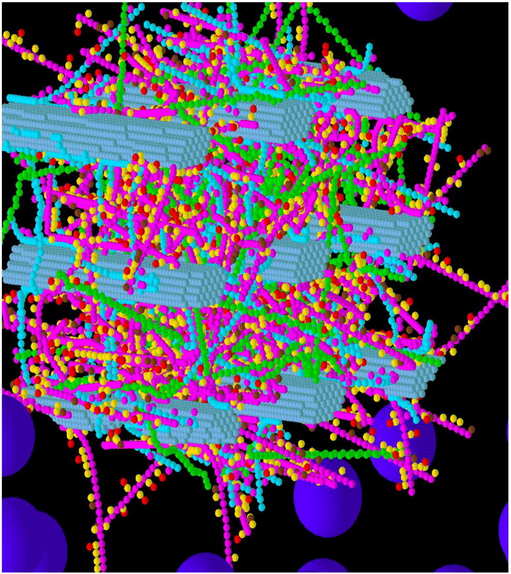 Computation | Special Issue : Multiscale Modeling and Simulation in ...