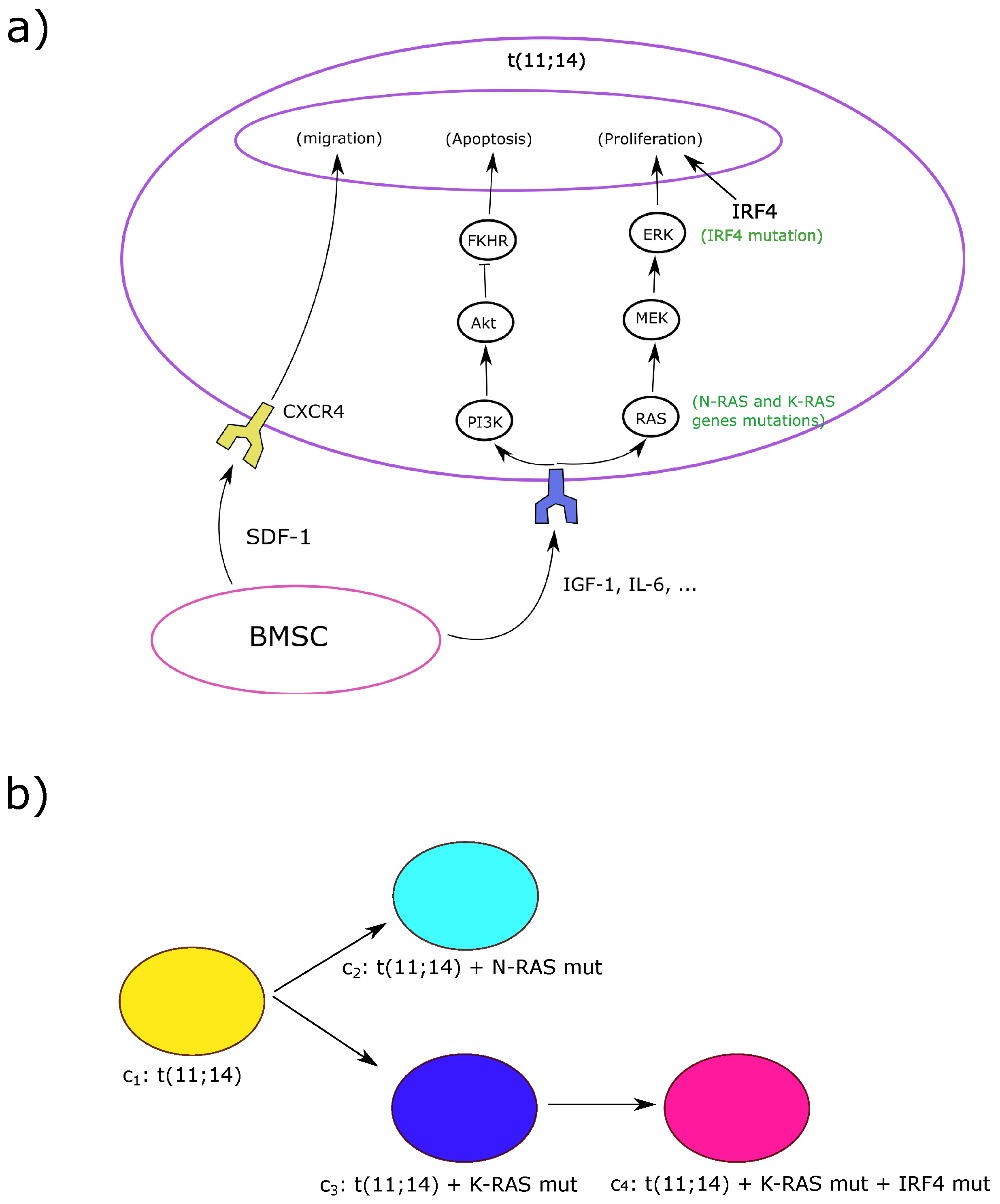 Computation 05 00016 g001