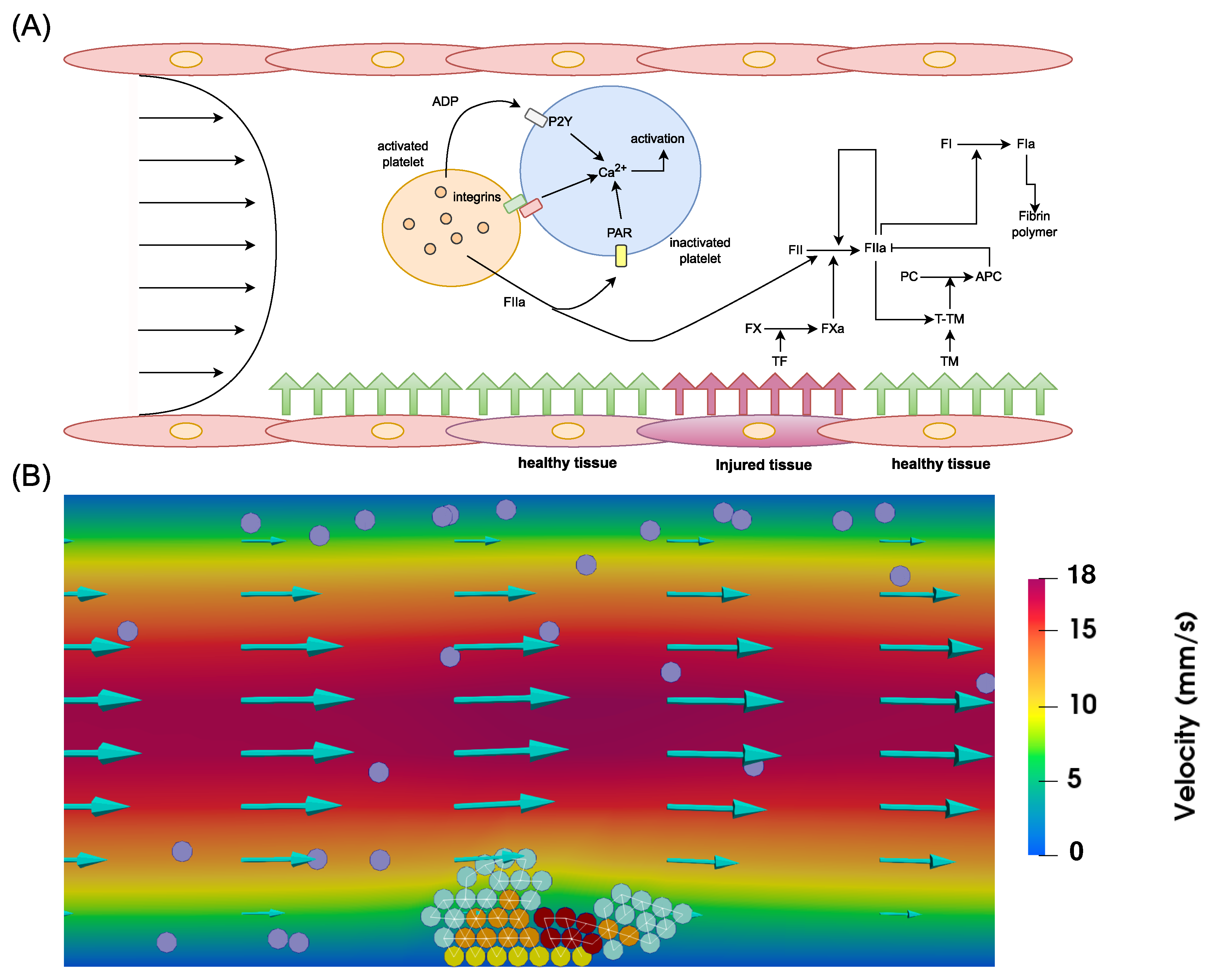 Computation 12 00099 g001