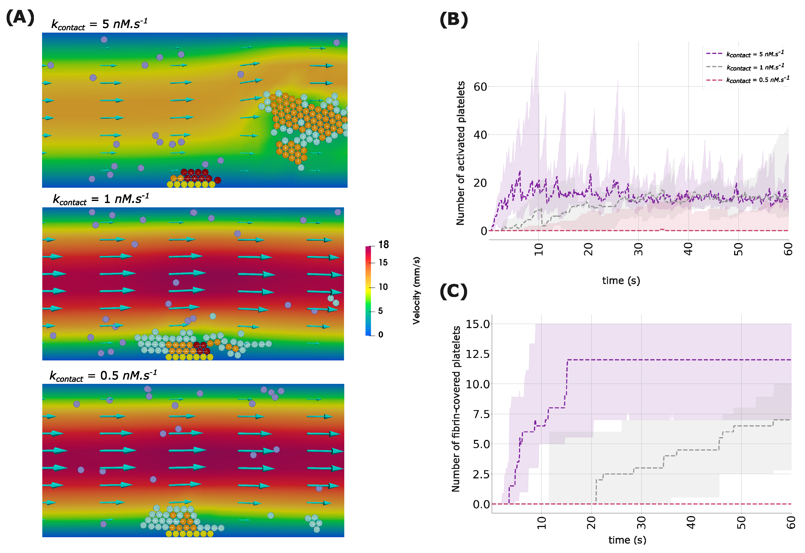 Computation 12 00099 g003