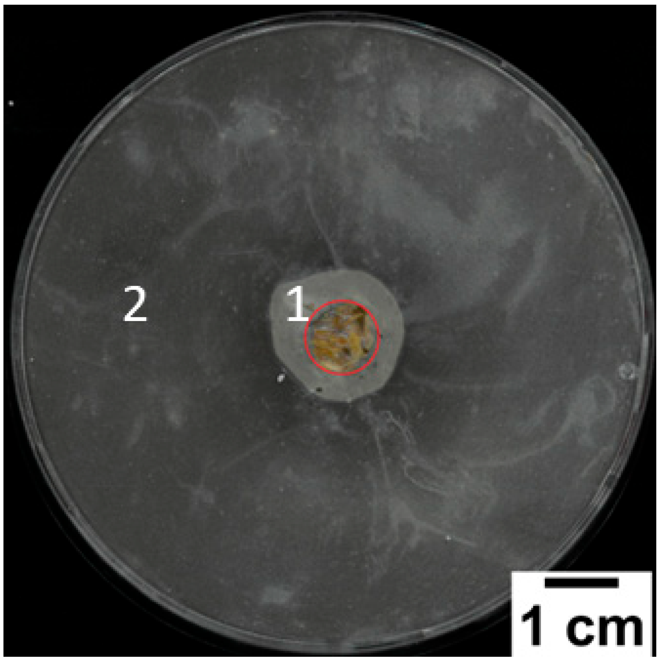Constrmater 04 00006 g001