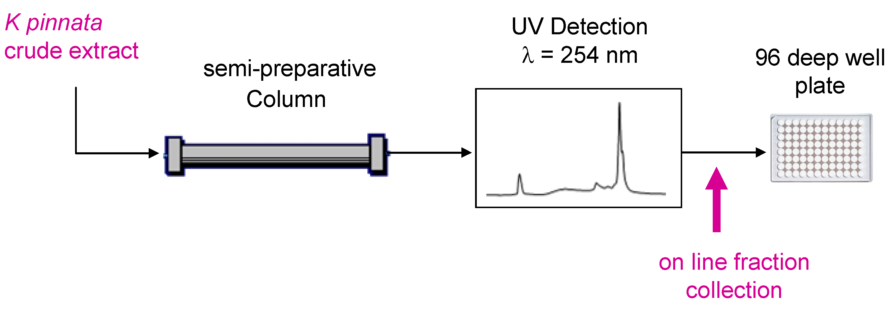 Cosmetics 01 00014 g005