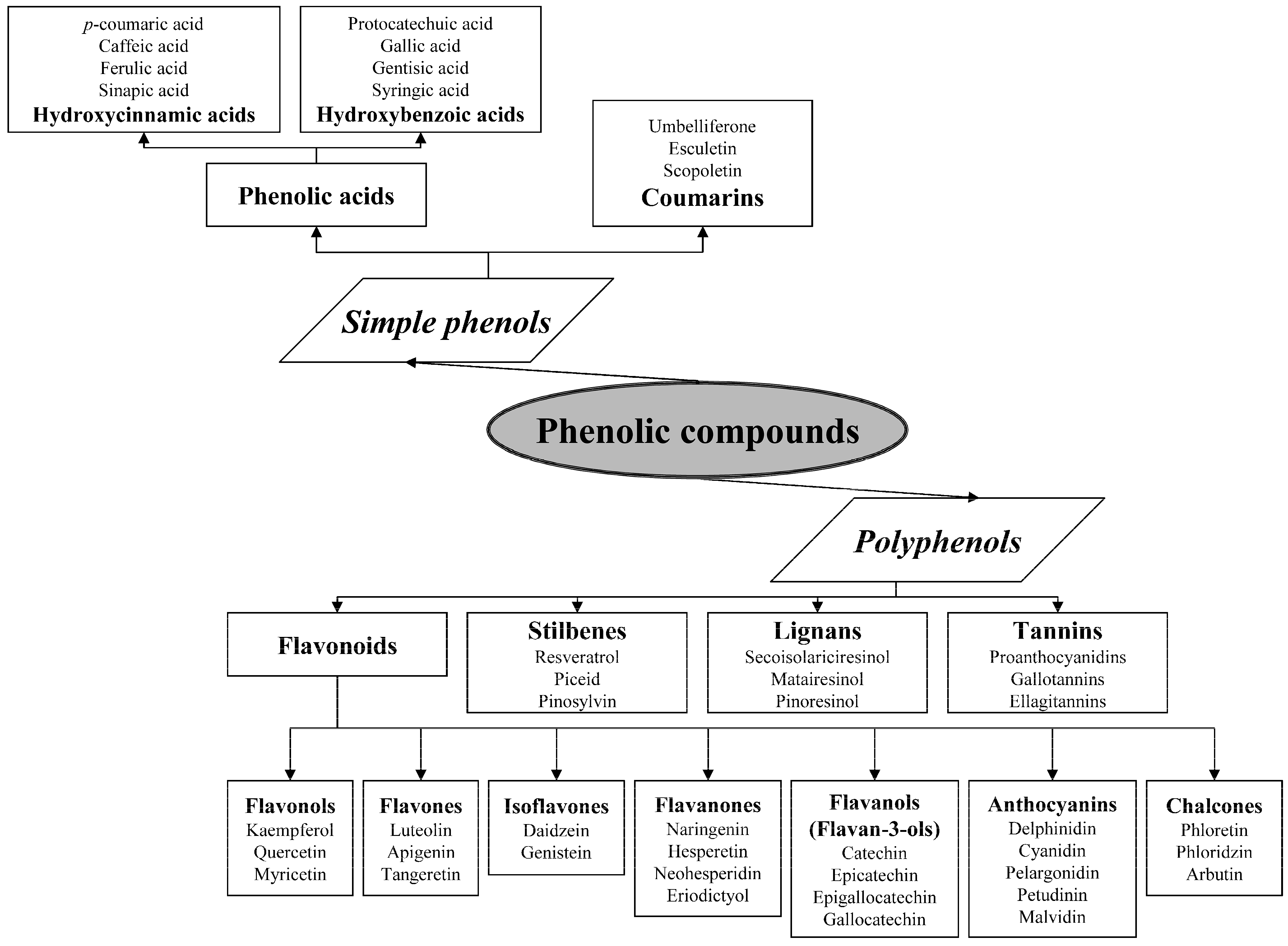 Drugs And Athletes Research Paper