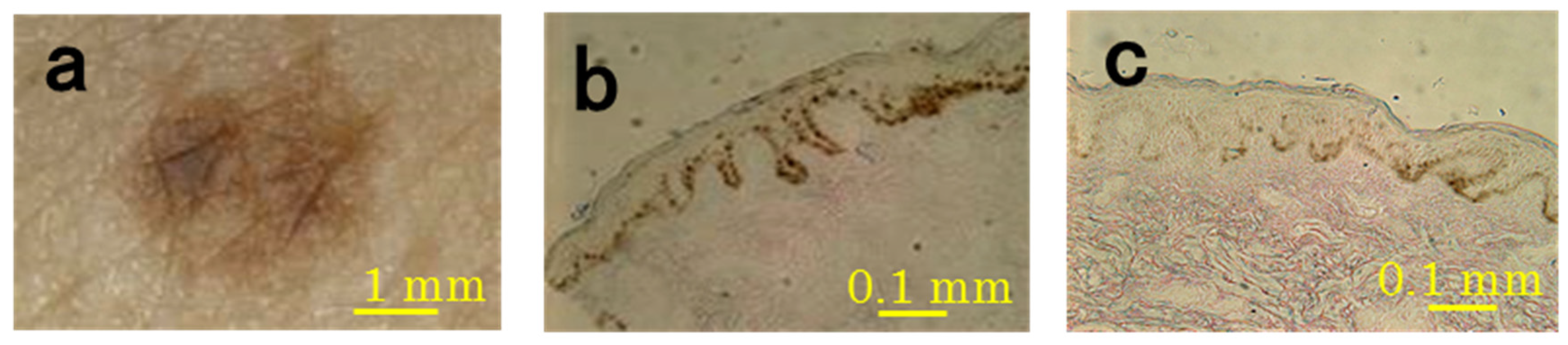 Cosmetics 04 00049 g001