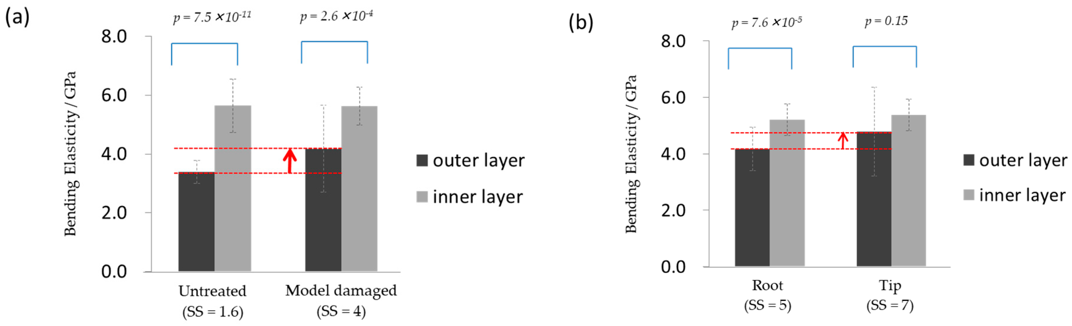 Cosmetics 06 00040 g007
