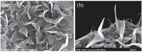 Crystals 03 00163 g001 200