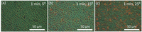 Crystals 03 00234 g006 200