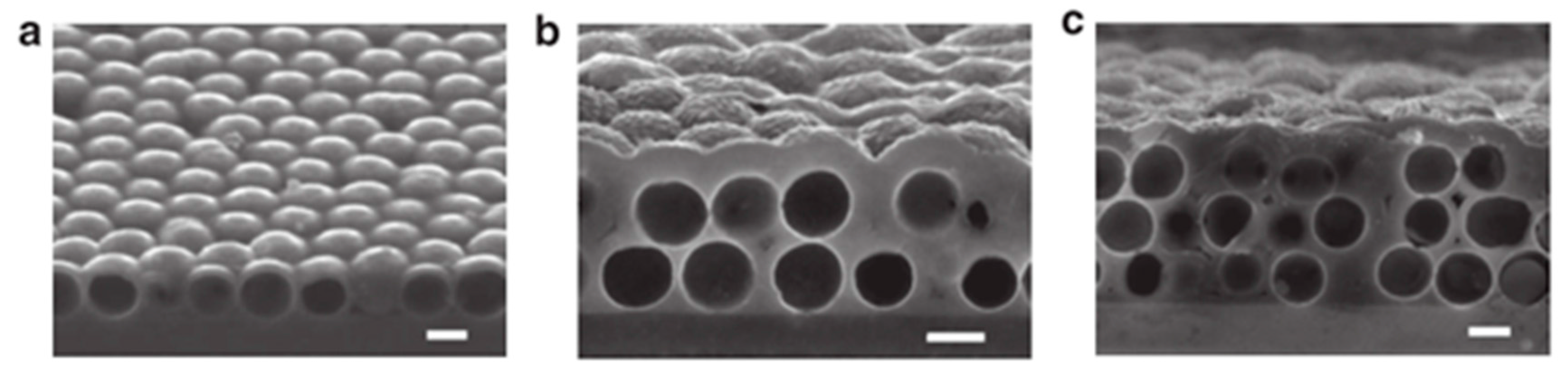 Crystals 06 00054 g011