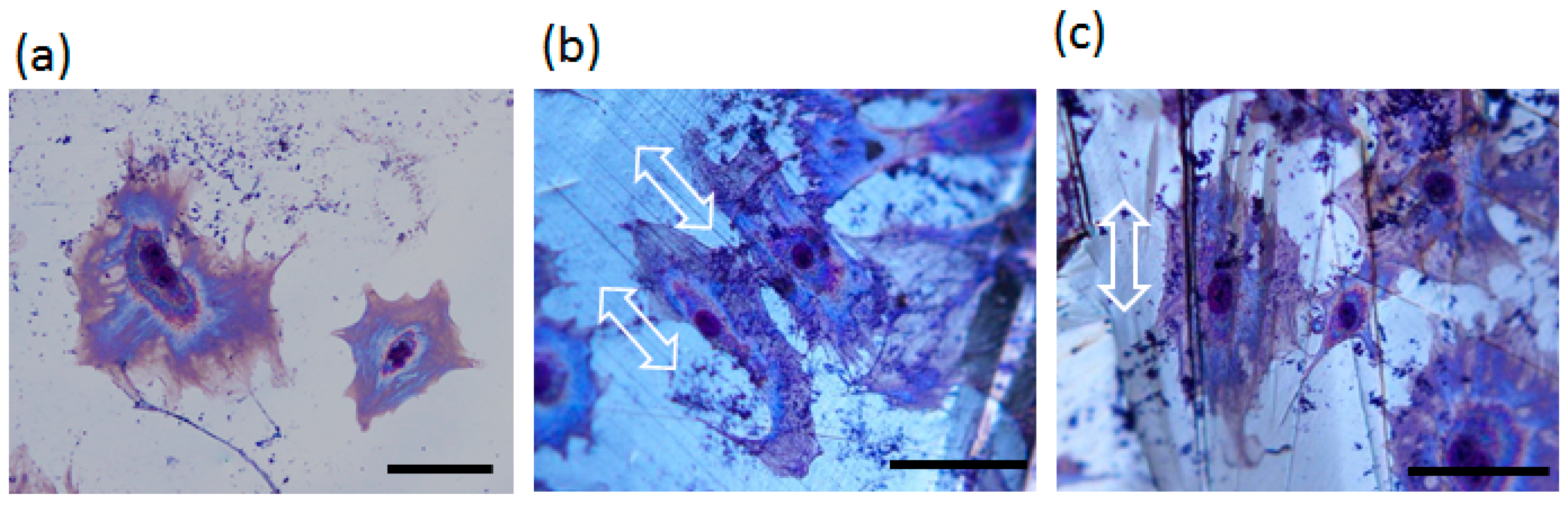 Crystals 06 00073 g002