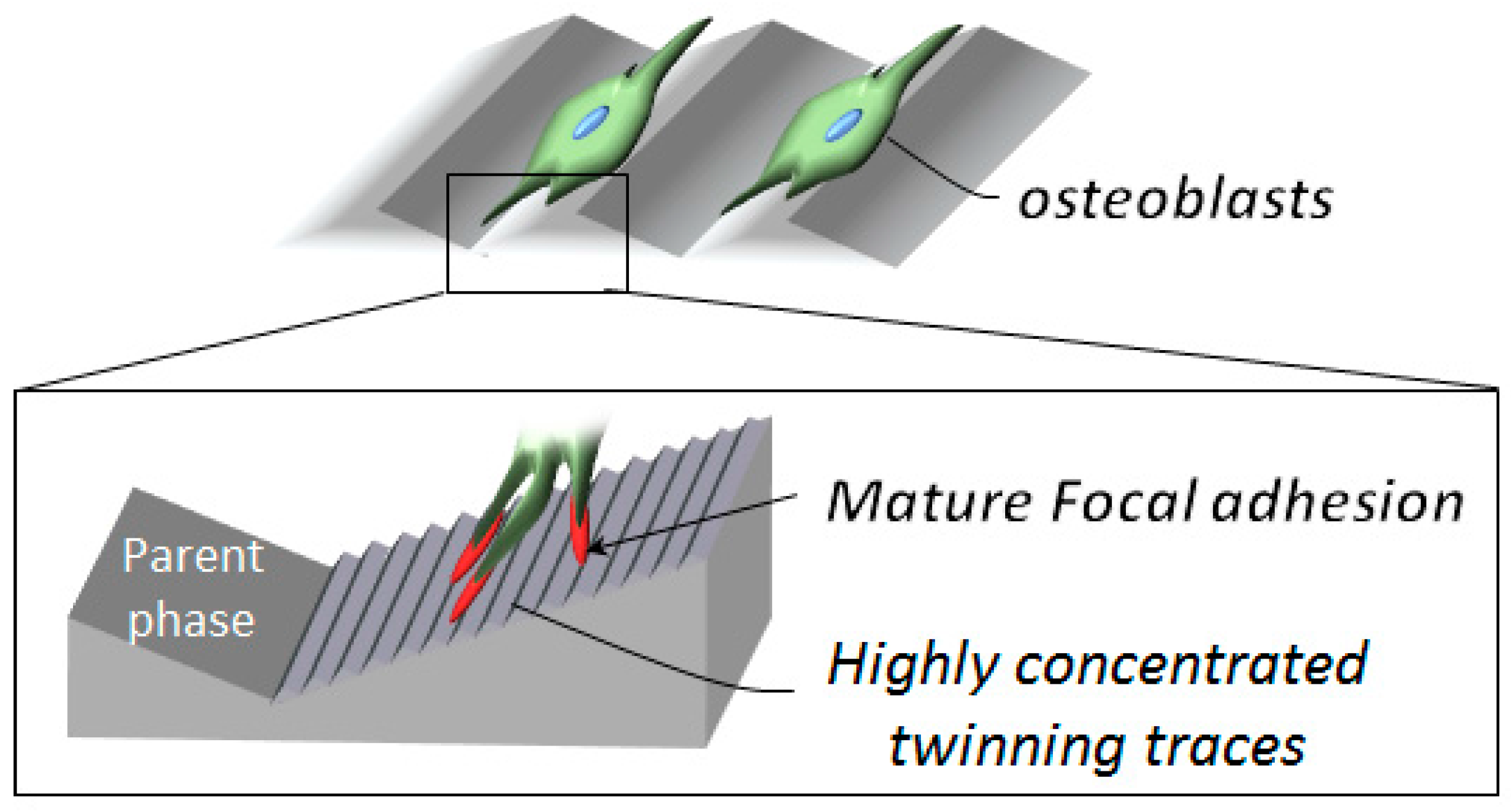 Crystals 06 00073 g004