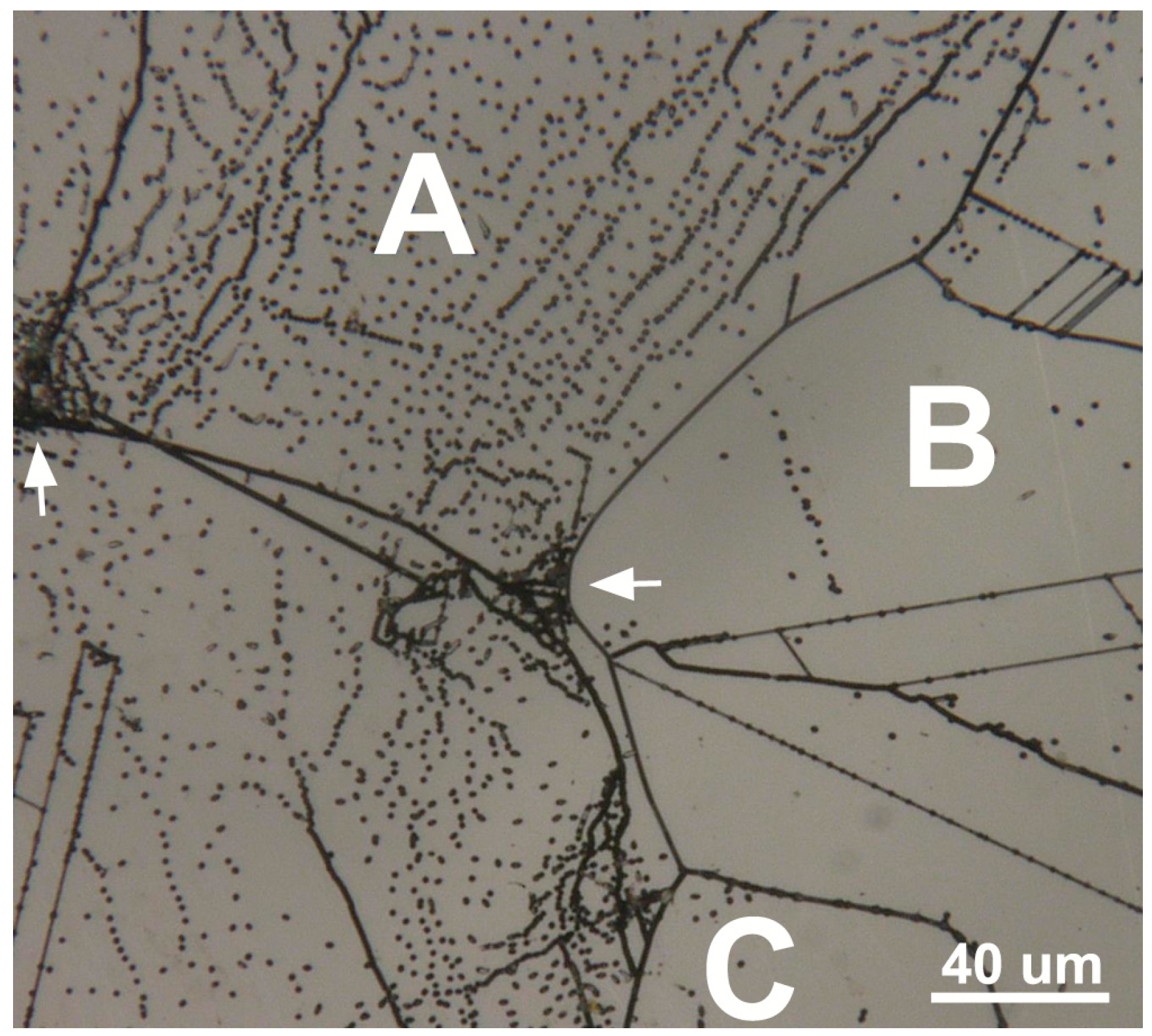 Crystals 06 00130 g003