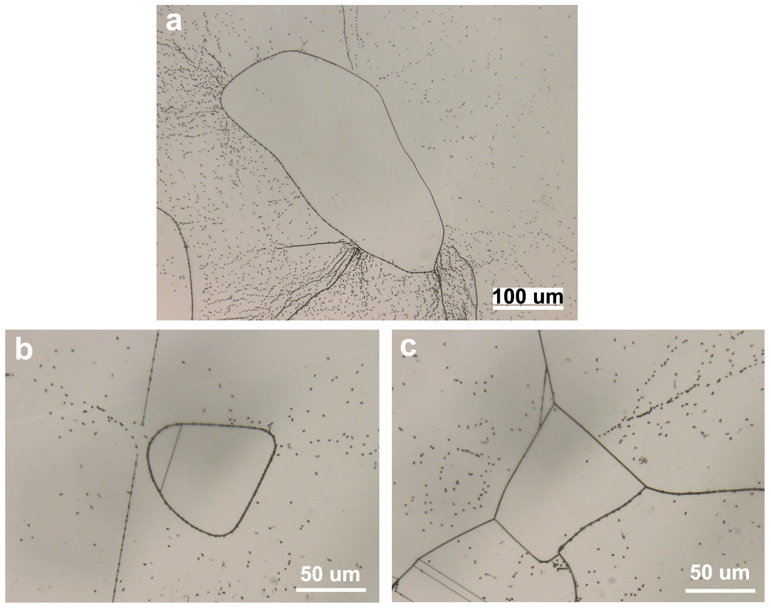 Crystals 06 00130 g005