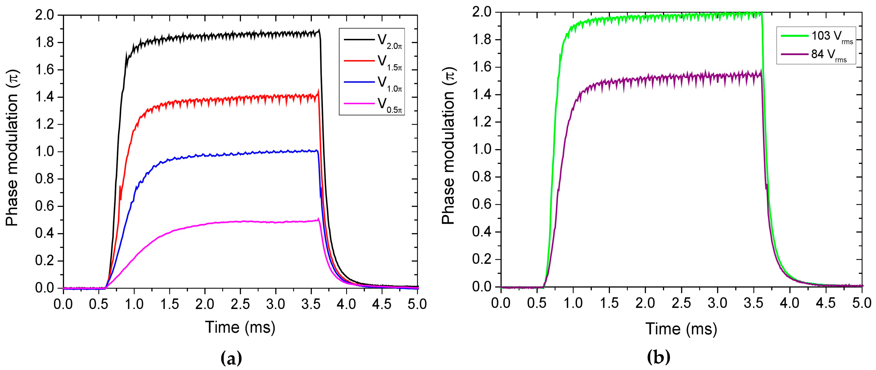 Stochastic Stability and