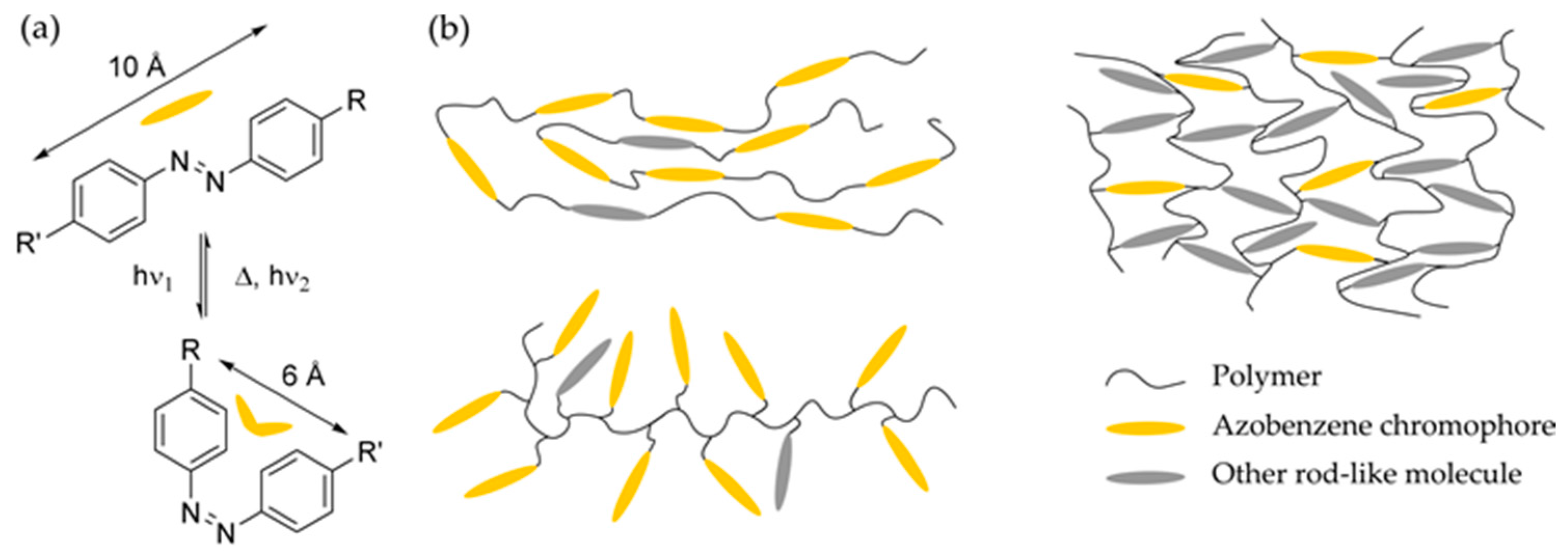 download Microbial