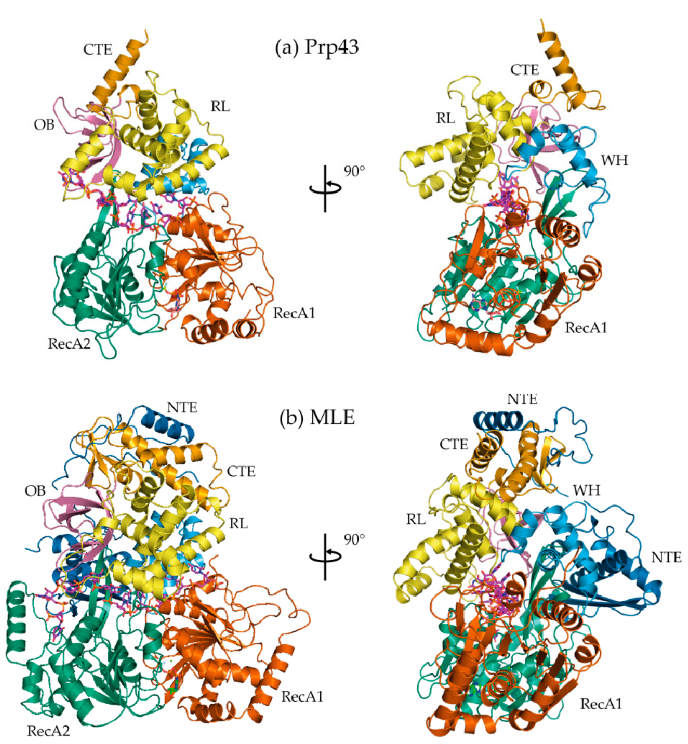 Crystals 07 00253 g001