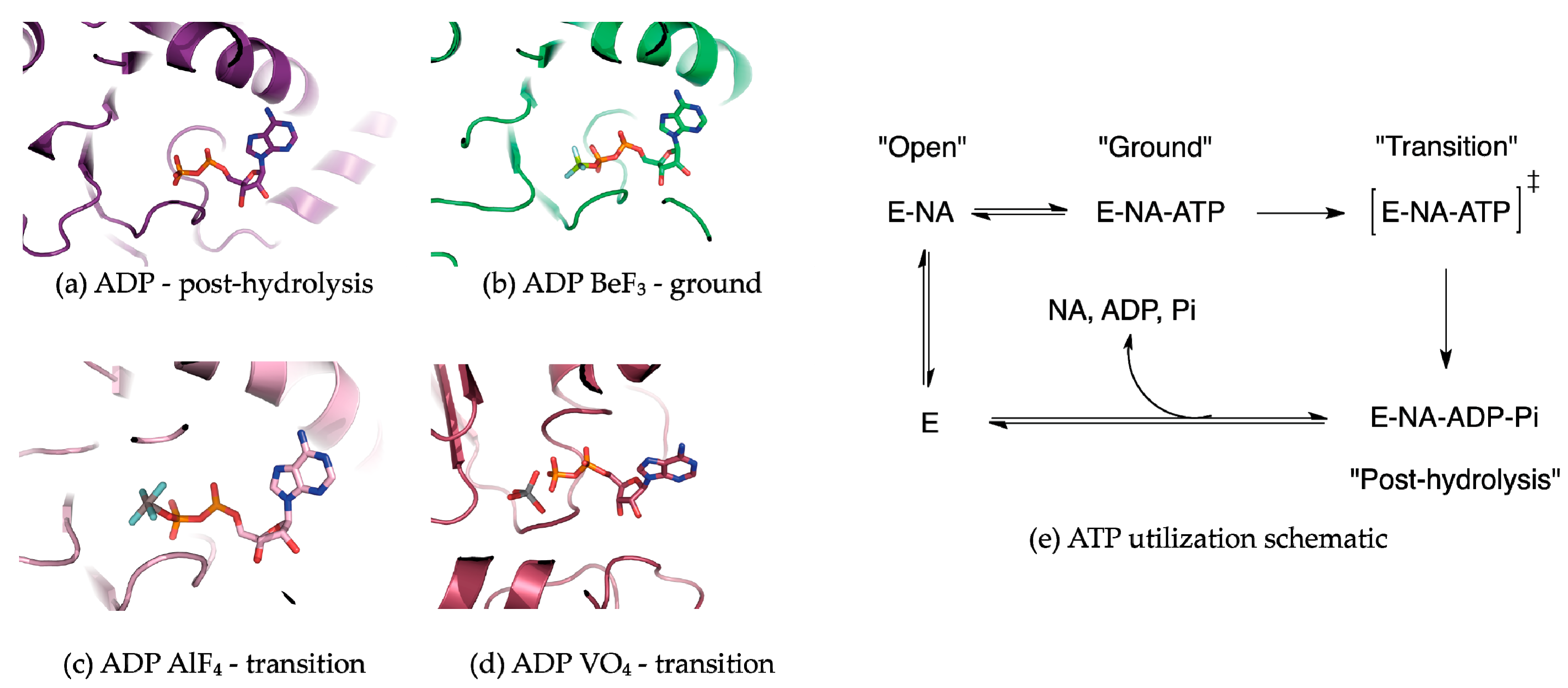 Crystals 07 00253 g002