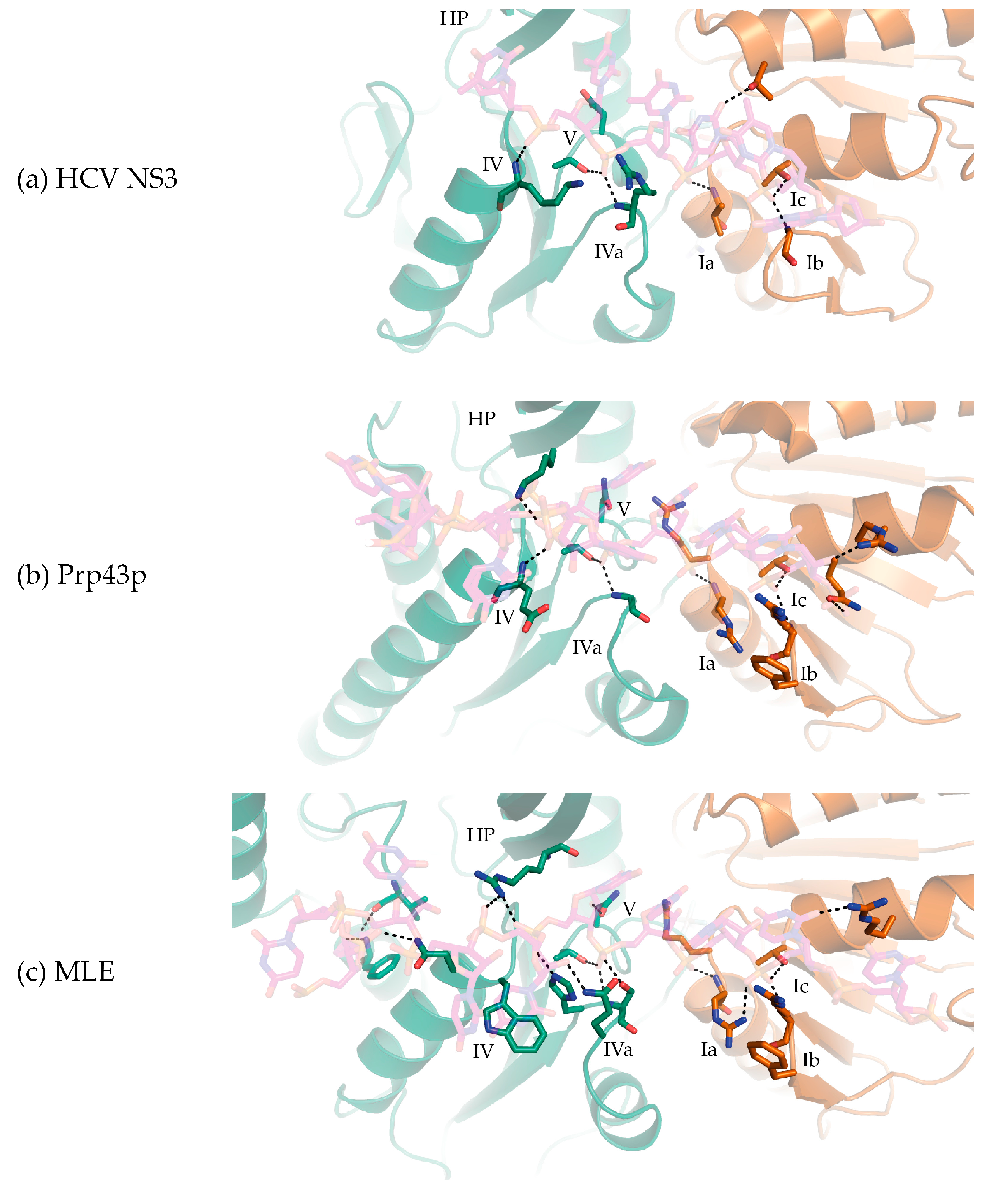 Crystals 07 00253 g003